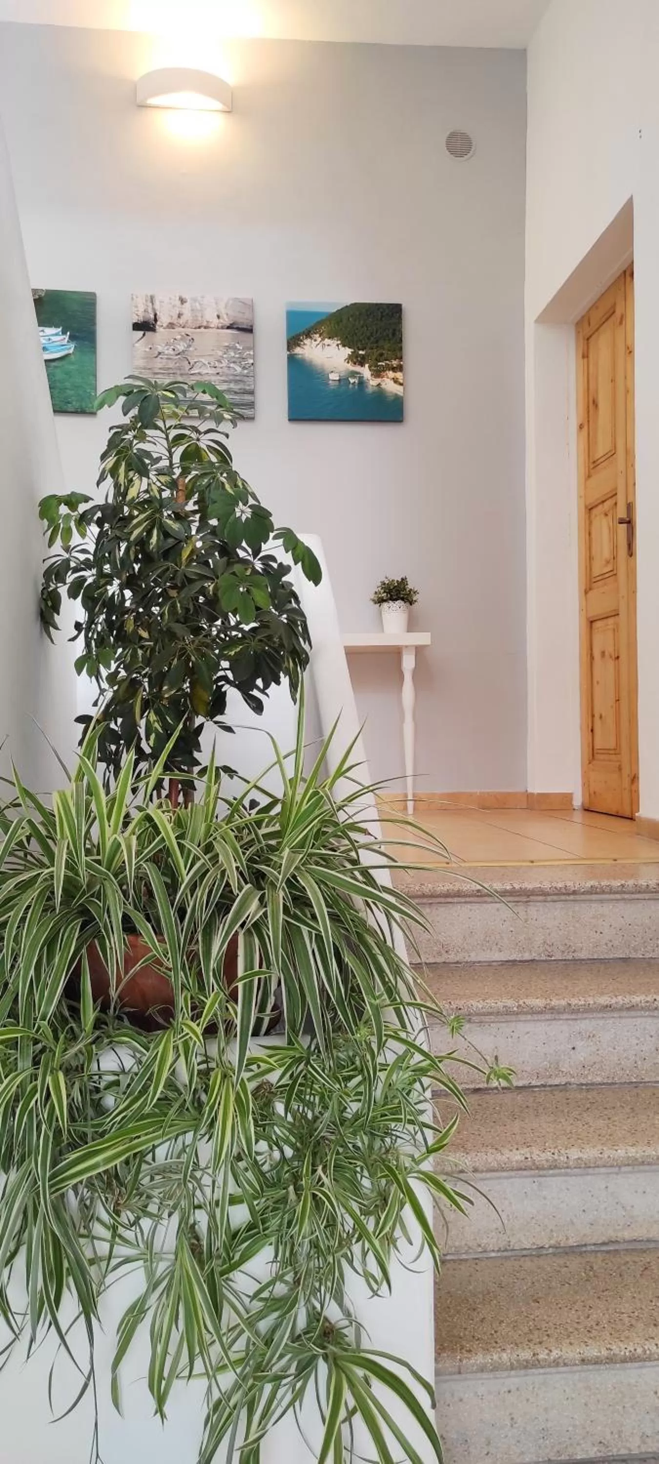 Decorative detail in Apulia Bed&Breakfast