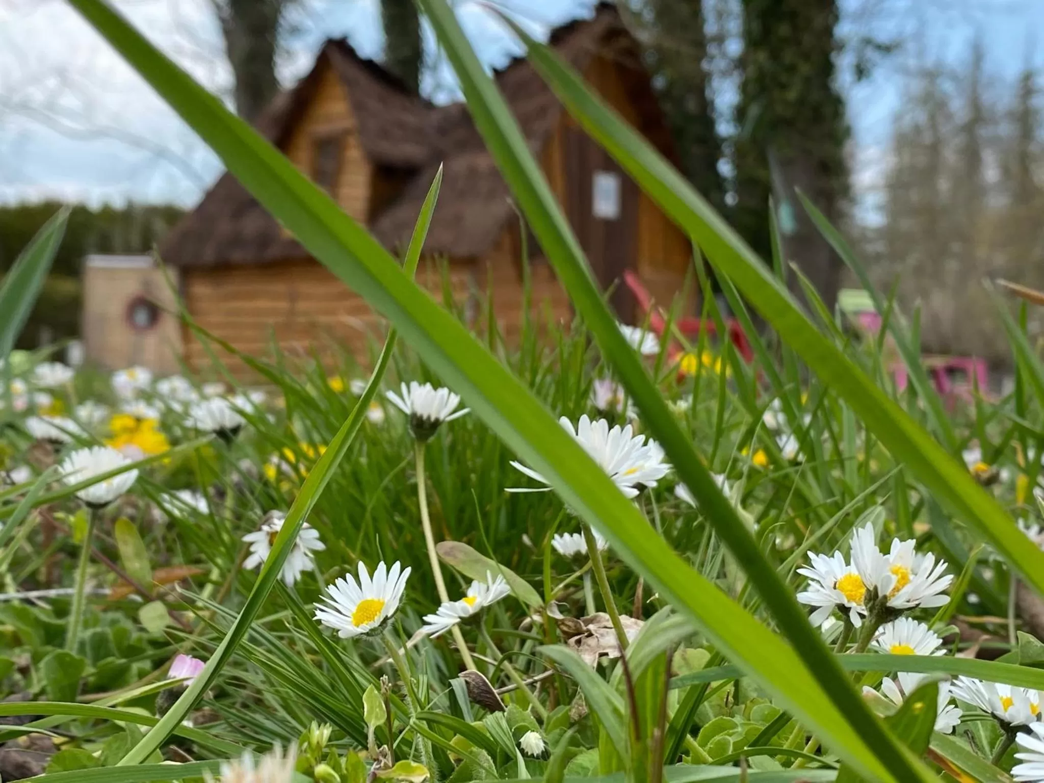 Natural landscape in Le Village de la Champagne - Slowmoov