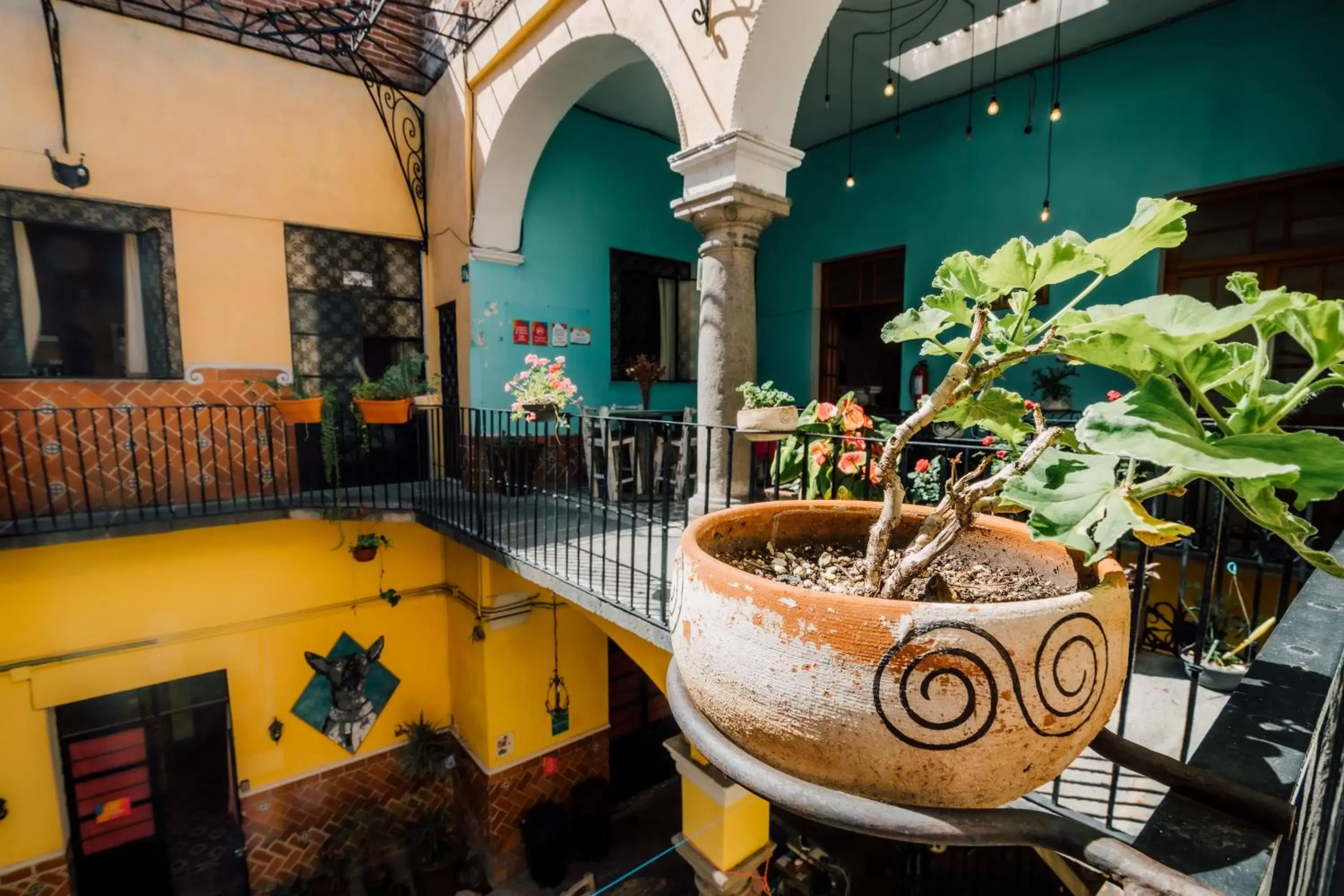 Inner courtyard view in Casa Veeyuu