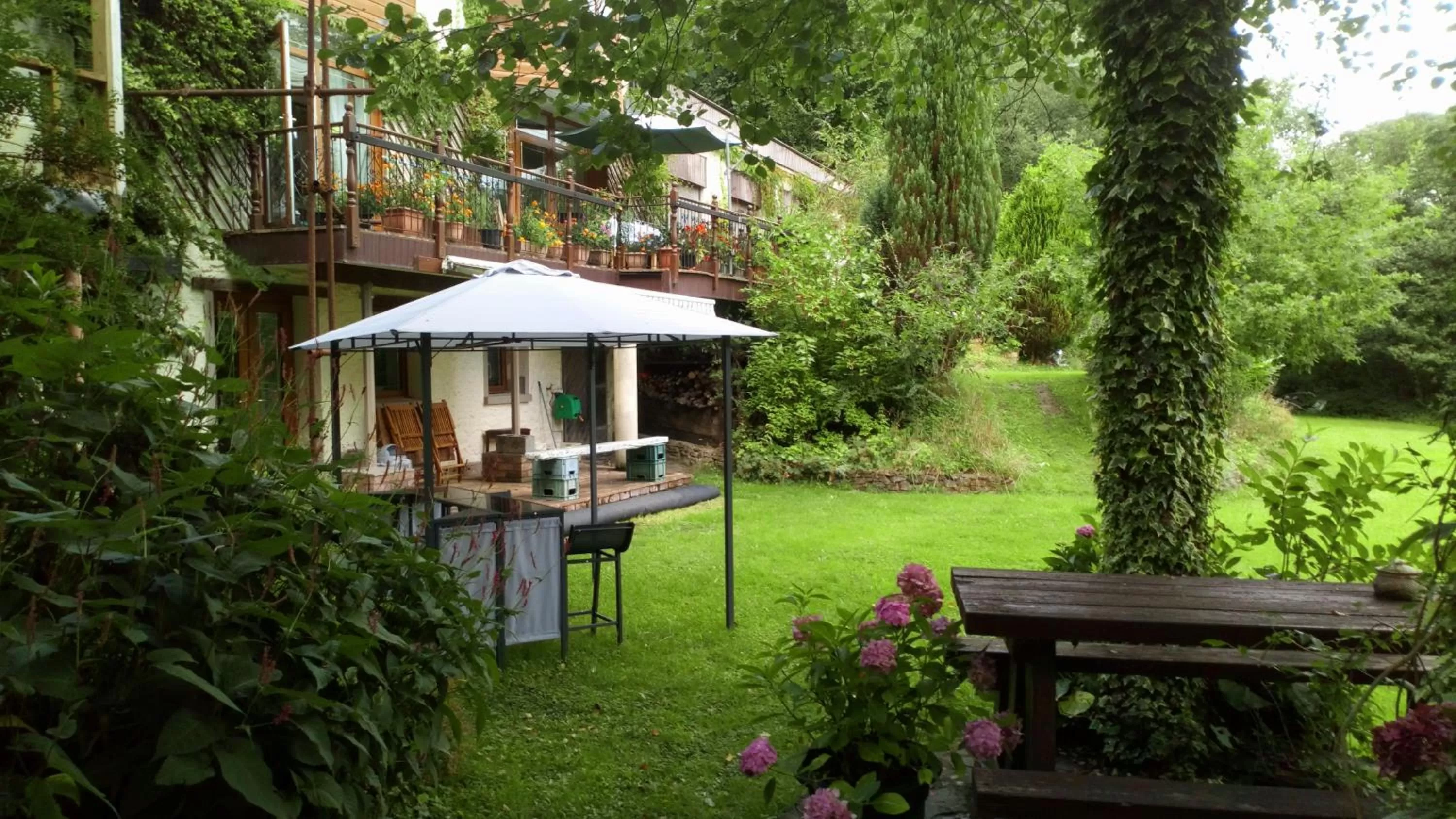 Garden view in Cilbrwyn