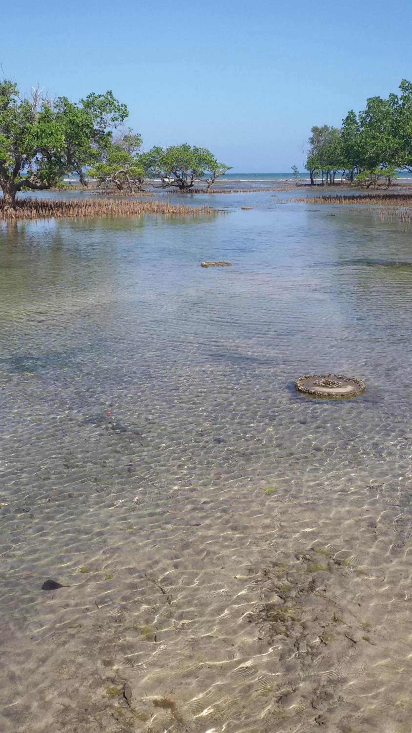 Beach in Bahari Pori Resort
