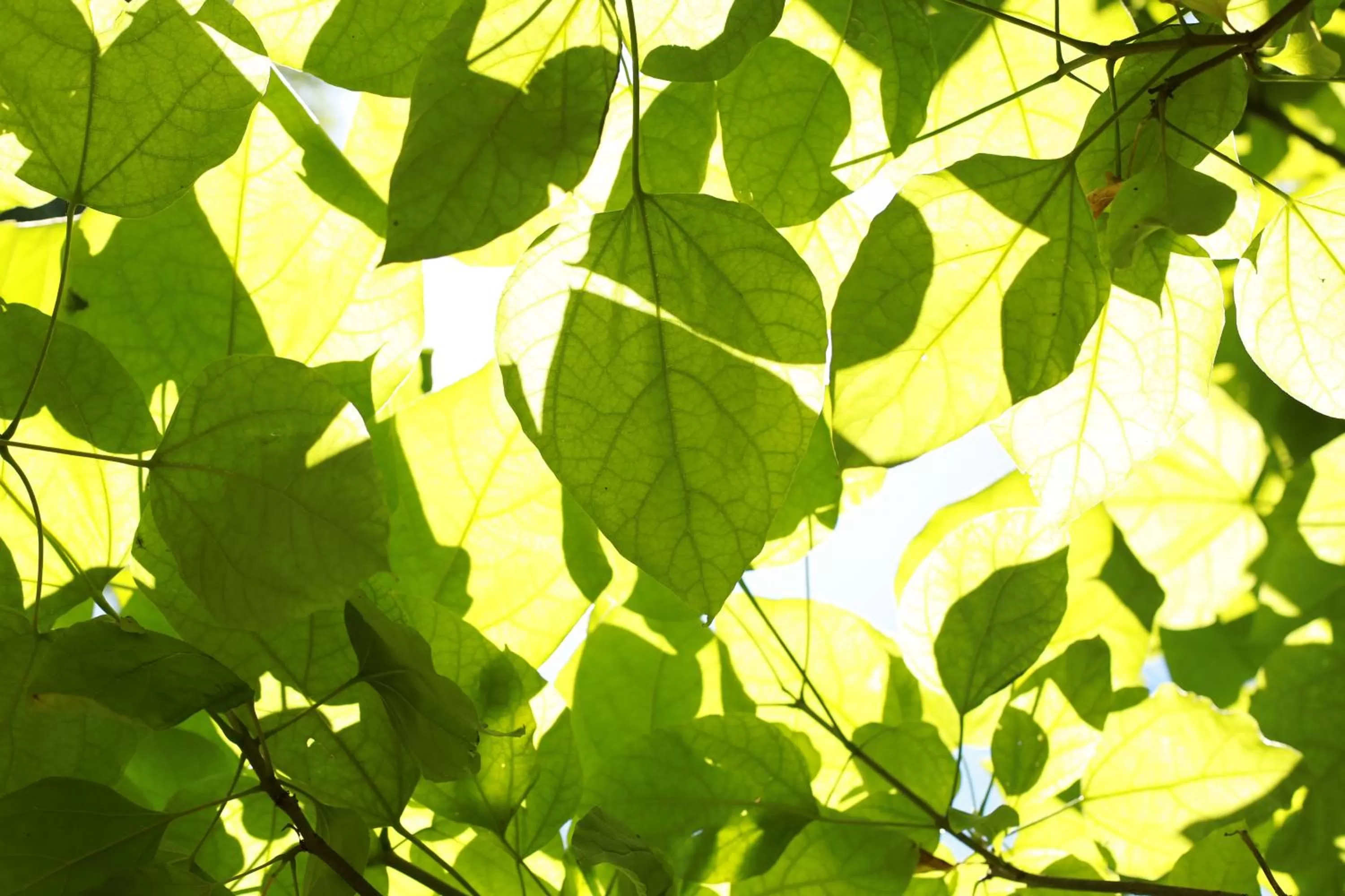 Property building in Les Rêves de Flamboin