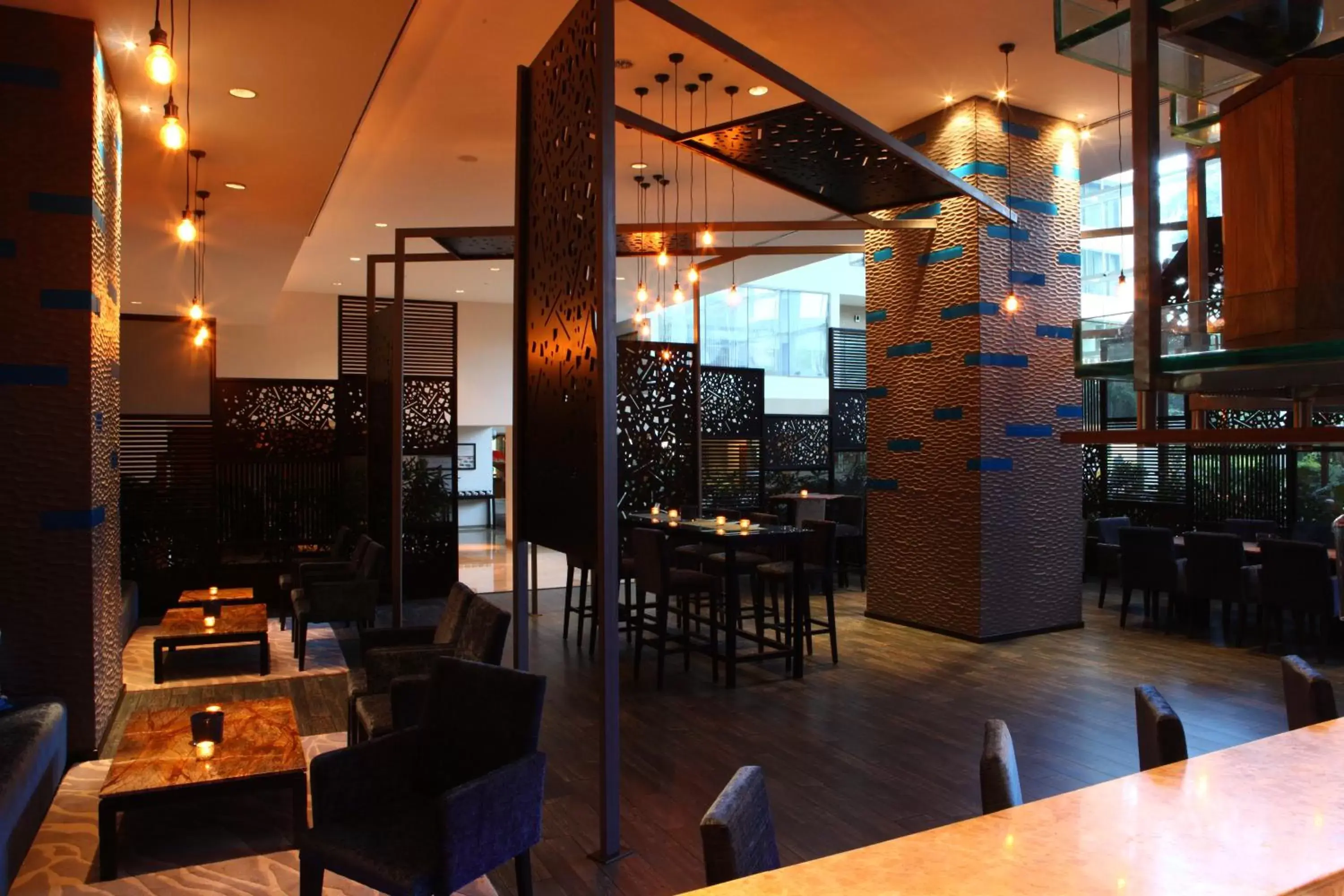 Lounge or bar, Restaurant/Places to Eat in Radisson Blu Plaza Hotel Hyderabad Banjara Hills