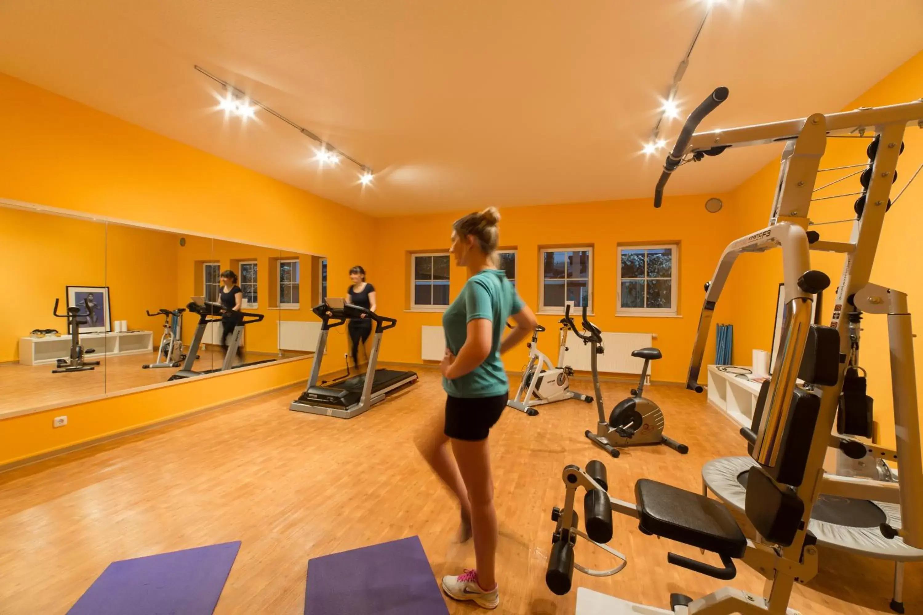 Fitness centre/facilities, Fitness Center/Facilities in Hotel Bayernwinkel - Yoga & Ayurveda