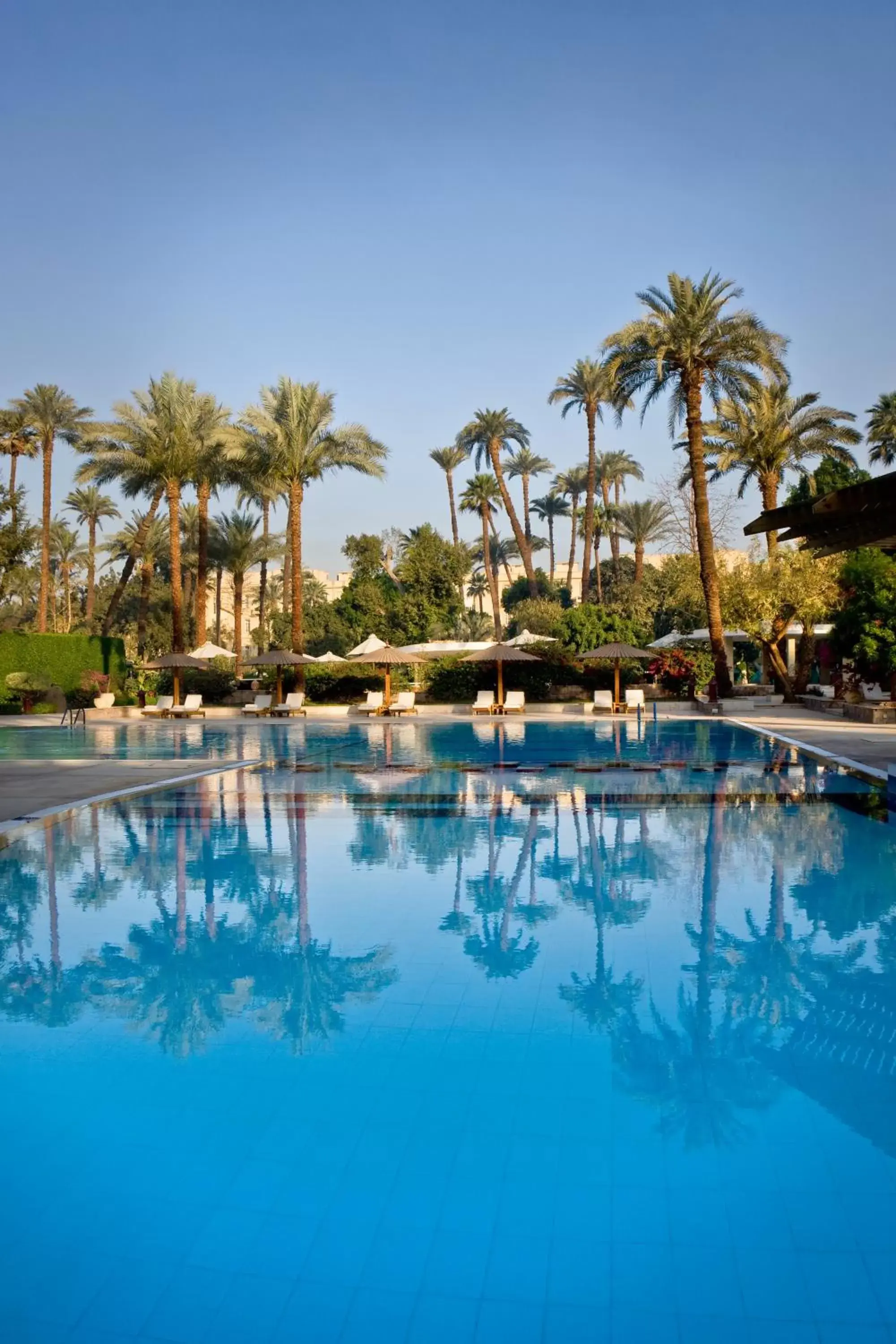 Swimming pool in Sofitel Winter Palace Luxor Swimming pool in Sofitel Winter Palace Luxor