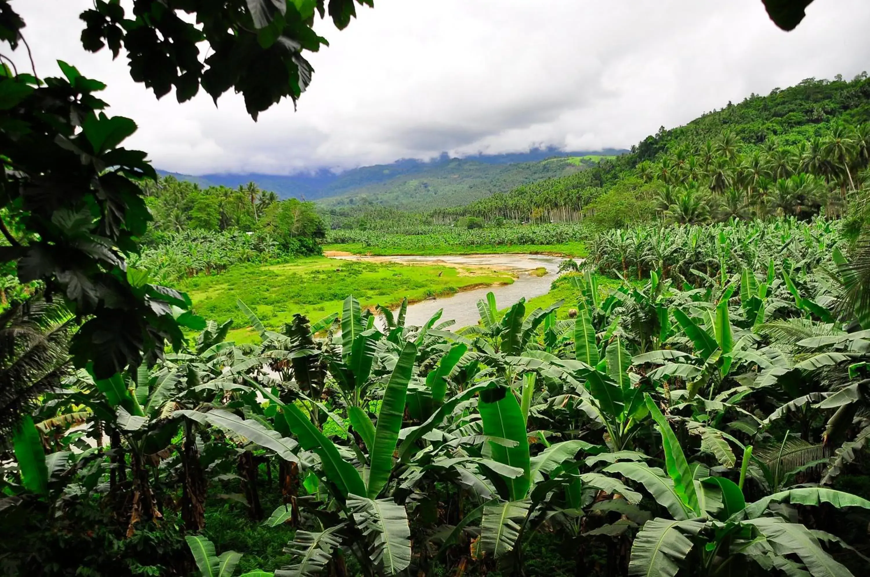 Natural Landscape in Badladz Beach and Dive Resort