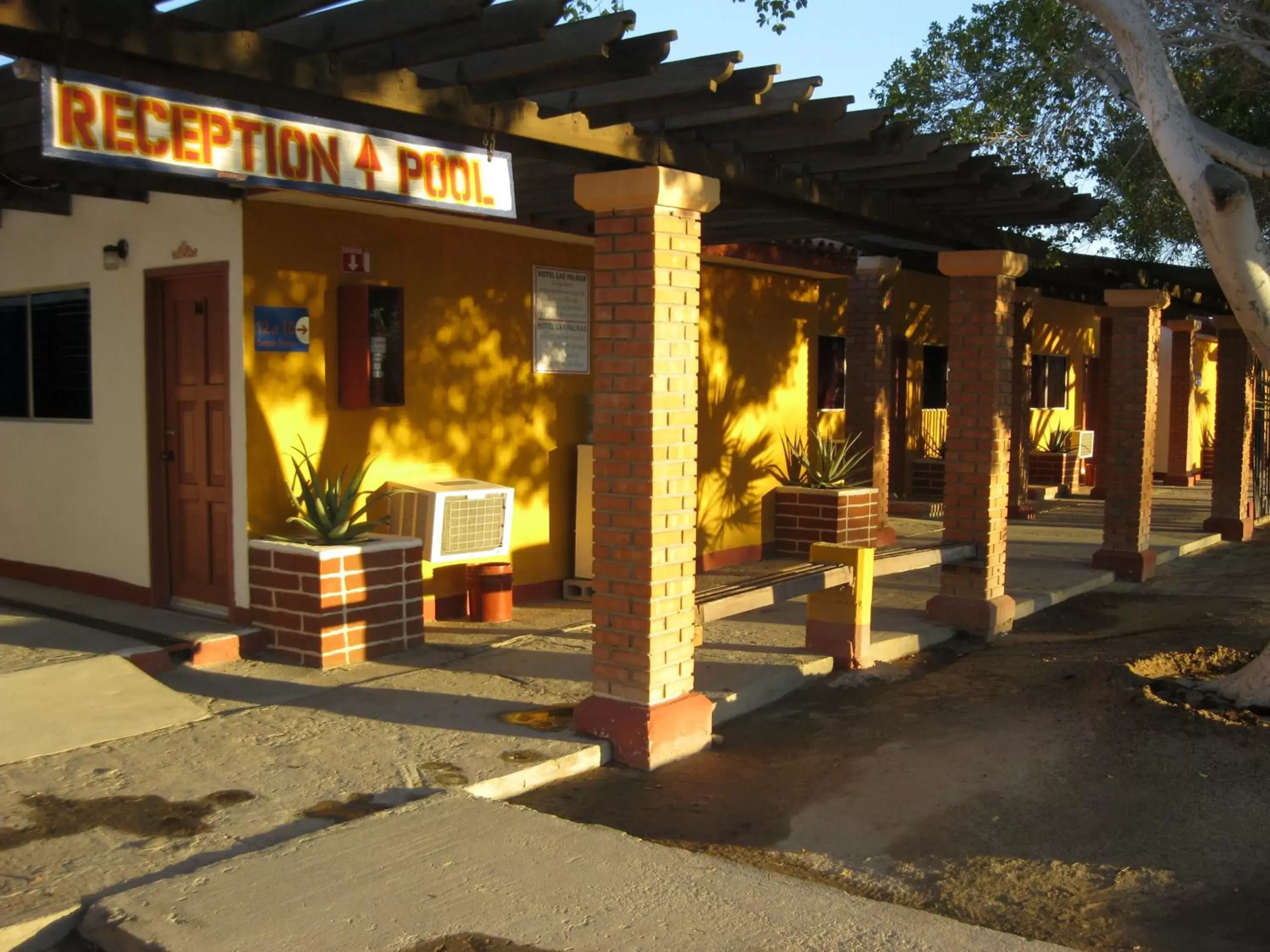 Area and facilities in Hotel Las Palmas