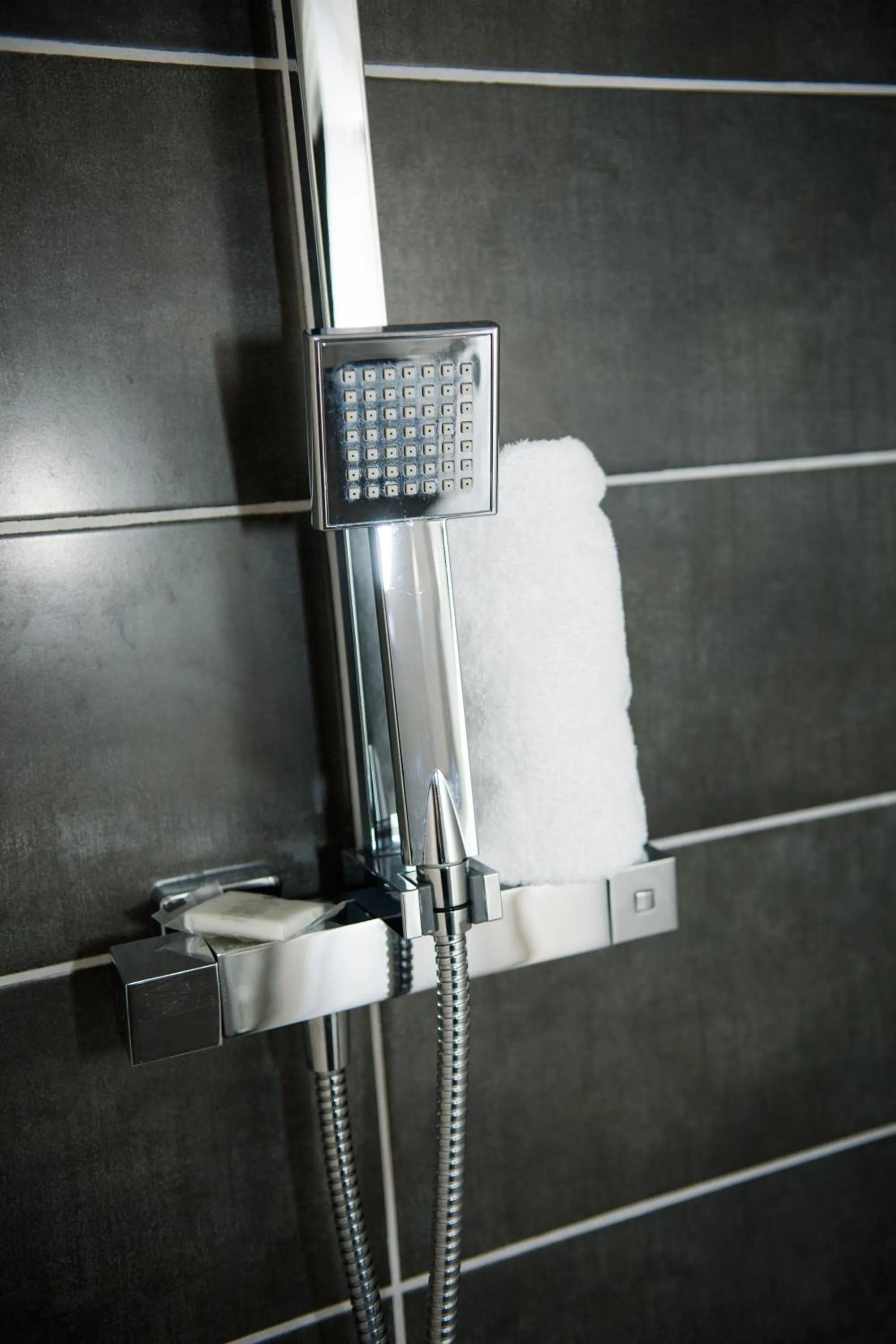 Decorative detail in Hôtel Le Stanislas