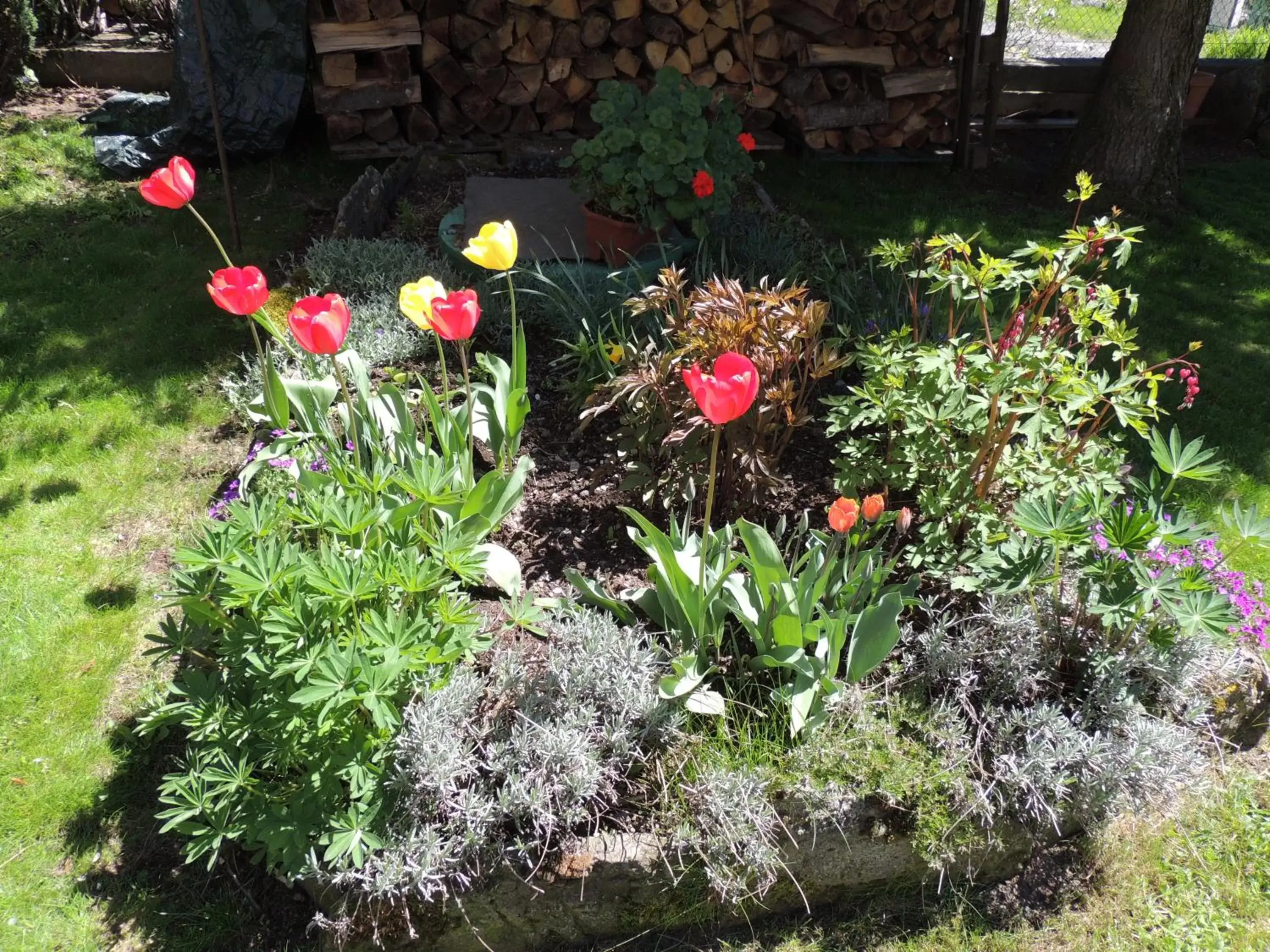 Property building, Garden in Hôtel Restaurant du Plomb du Cantal