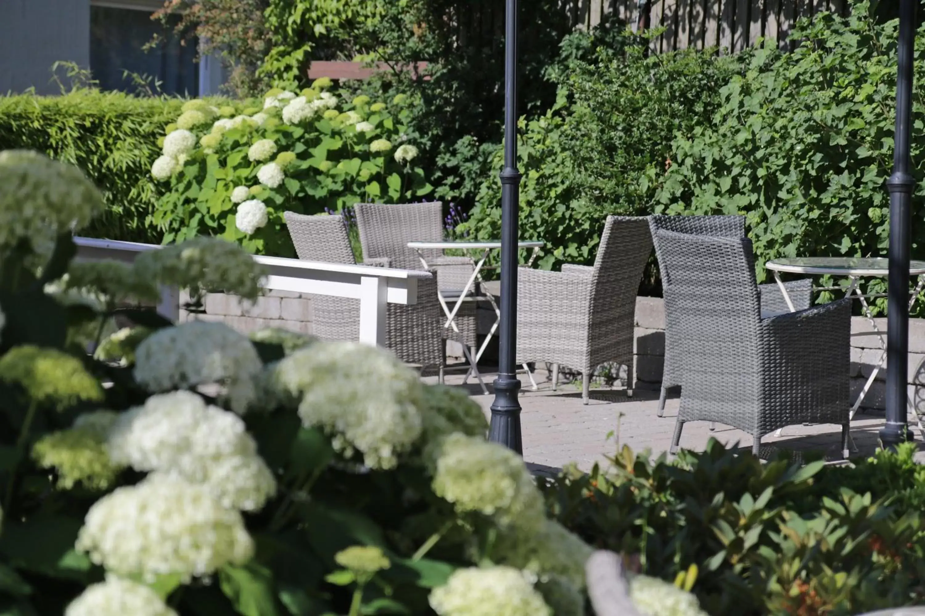 Patio in Hotell Conrad