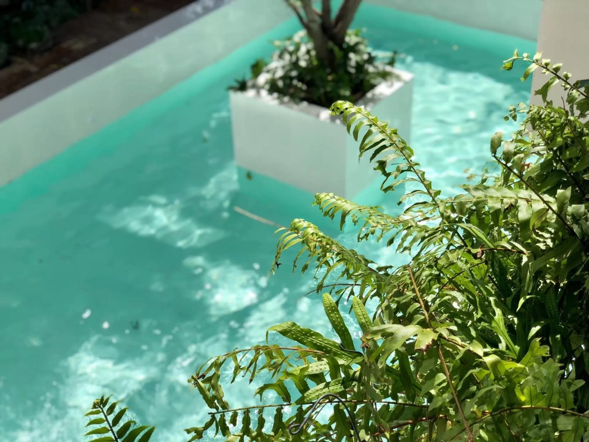 Pool view in POR Daowadung NO PARKING