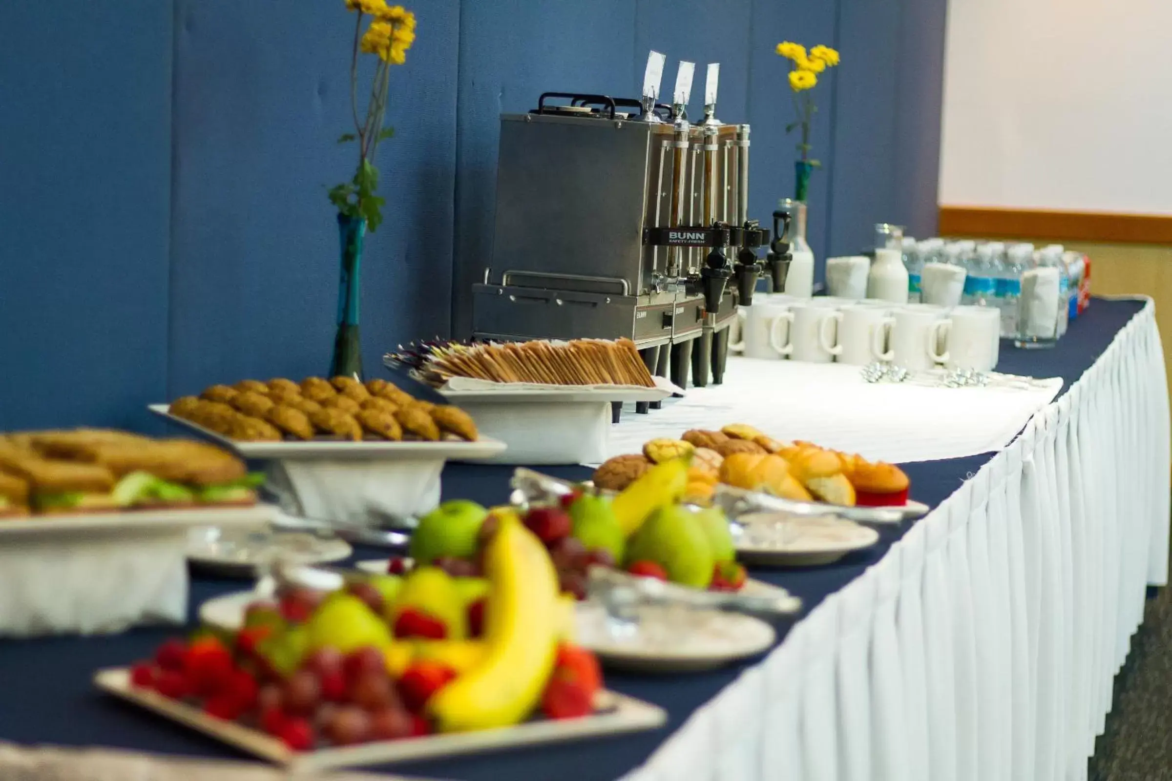 Meeting/conference room in Costa Baja Resort & Spa