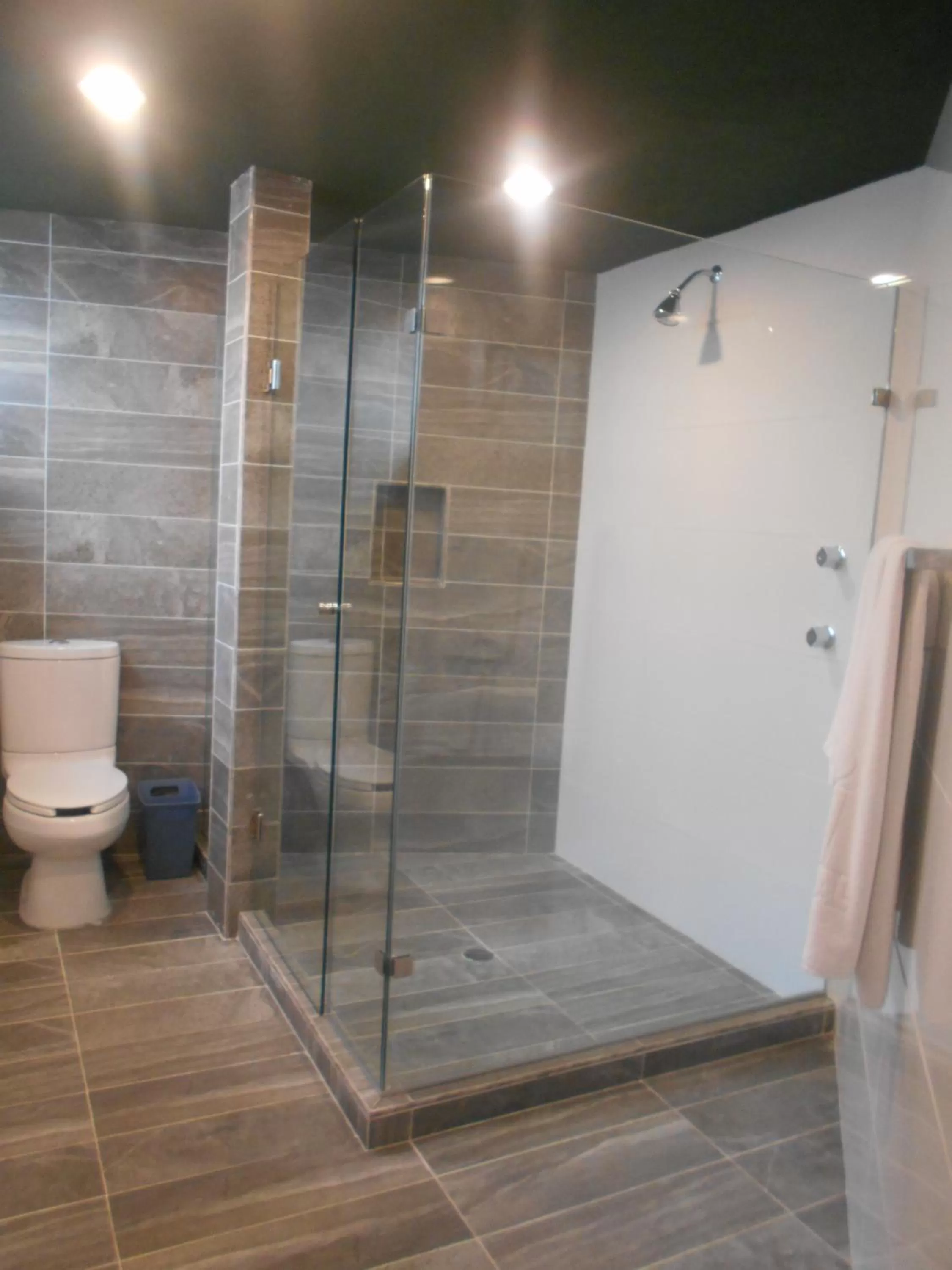 Bathroom in Hotel Puente Real