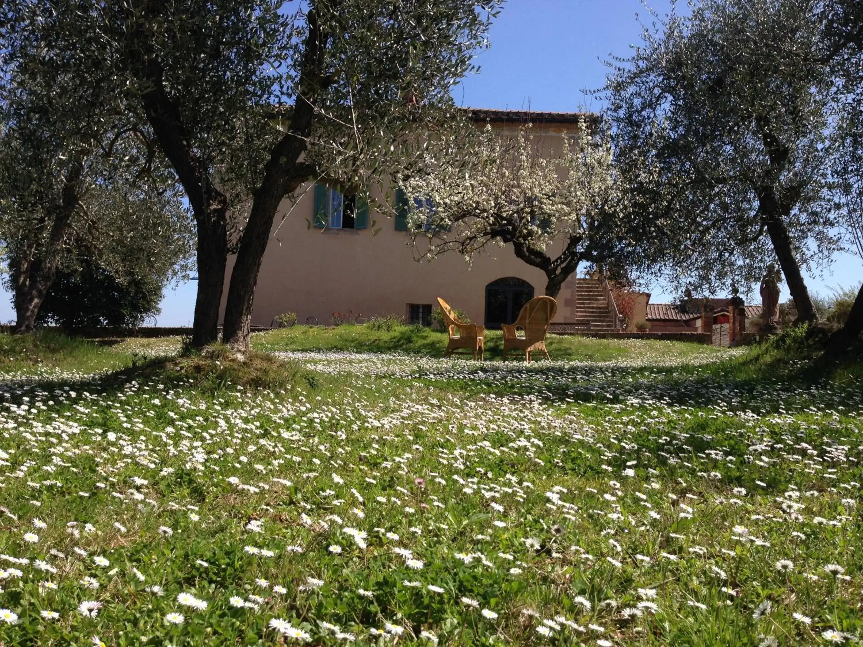 Garden, Property Building in Hotel Palazzo di Valli