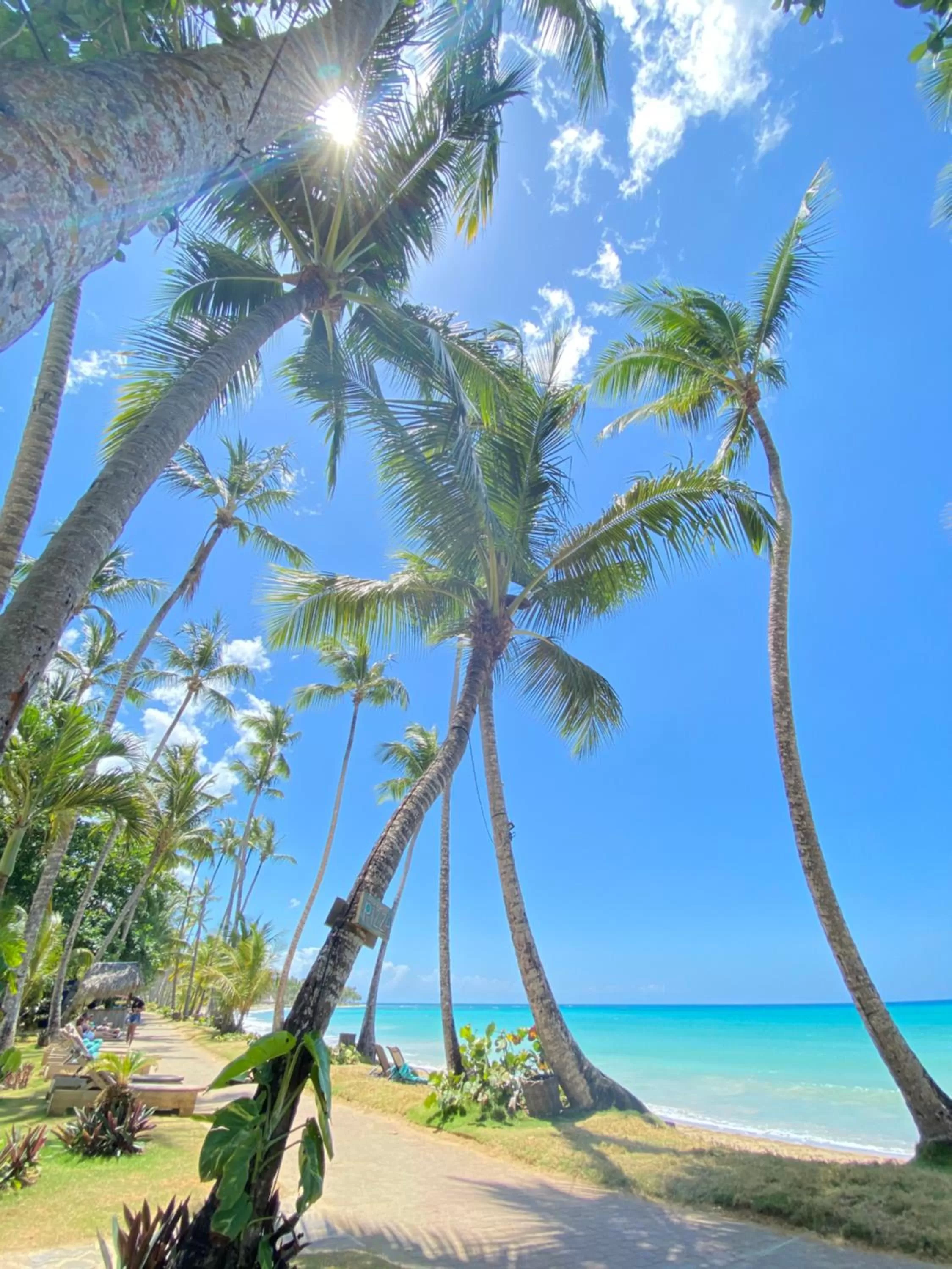 Sea view, Beach in El Mosquito Boutique Hotel Playa Bonita