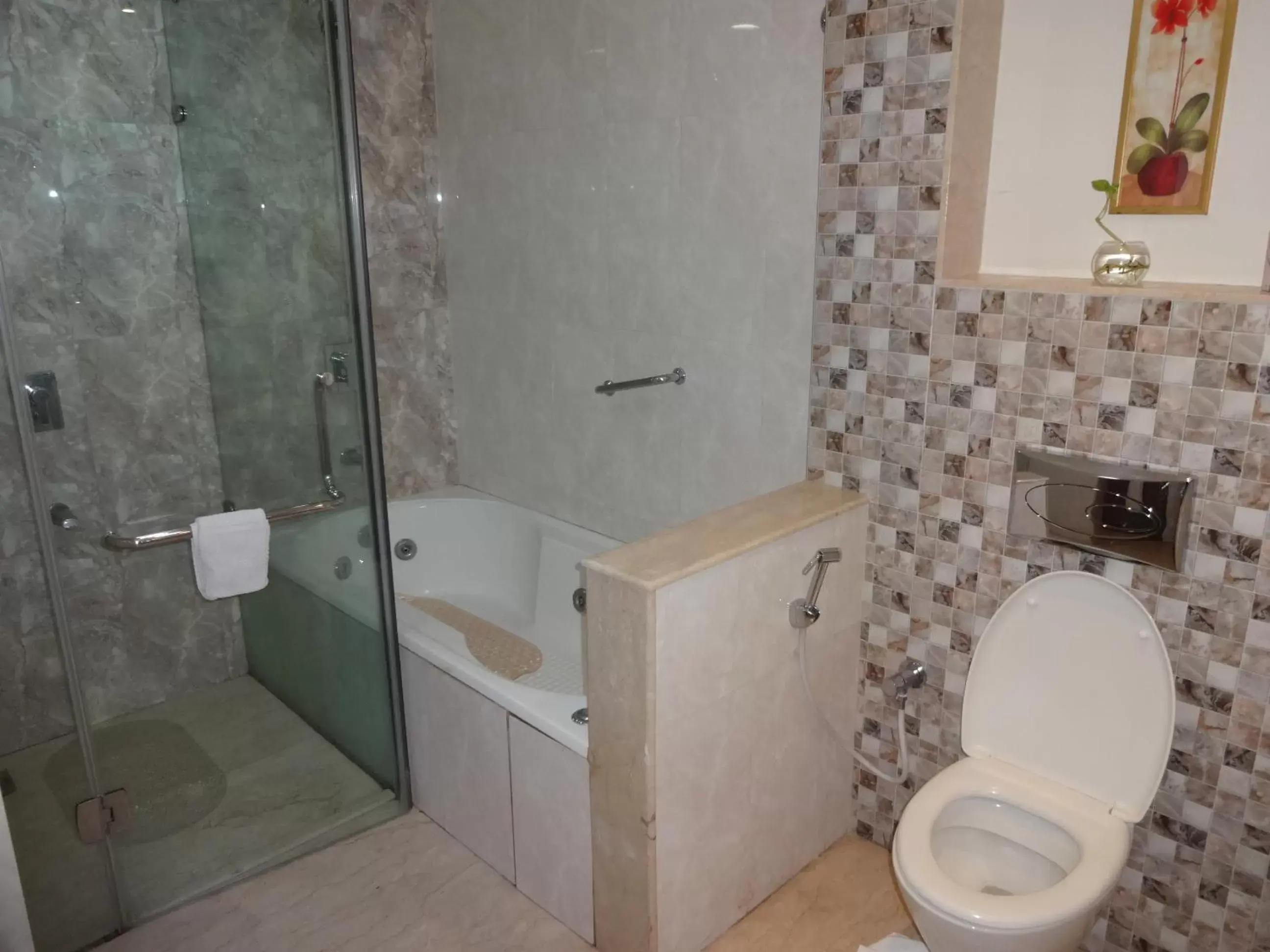 Bathroom in Daspalla Hyderabad