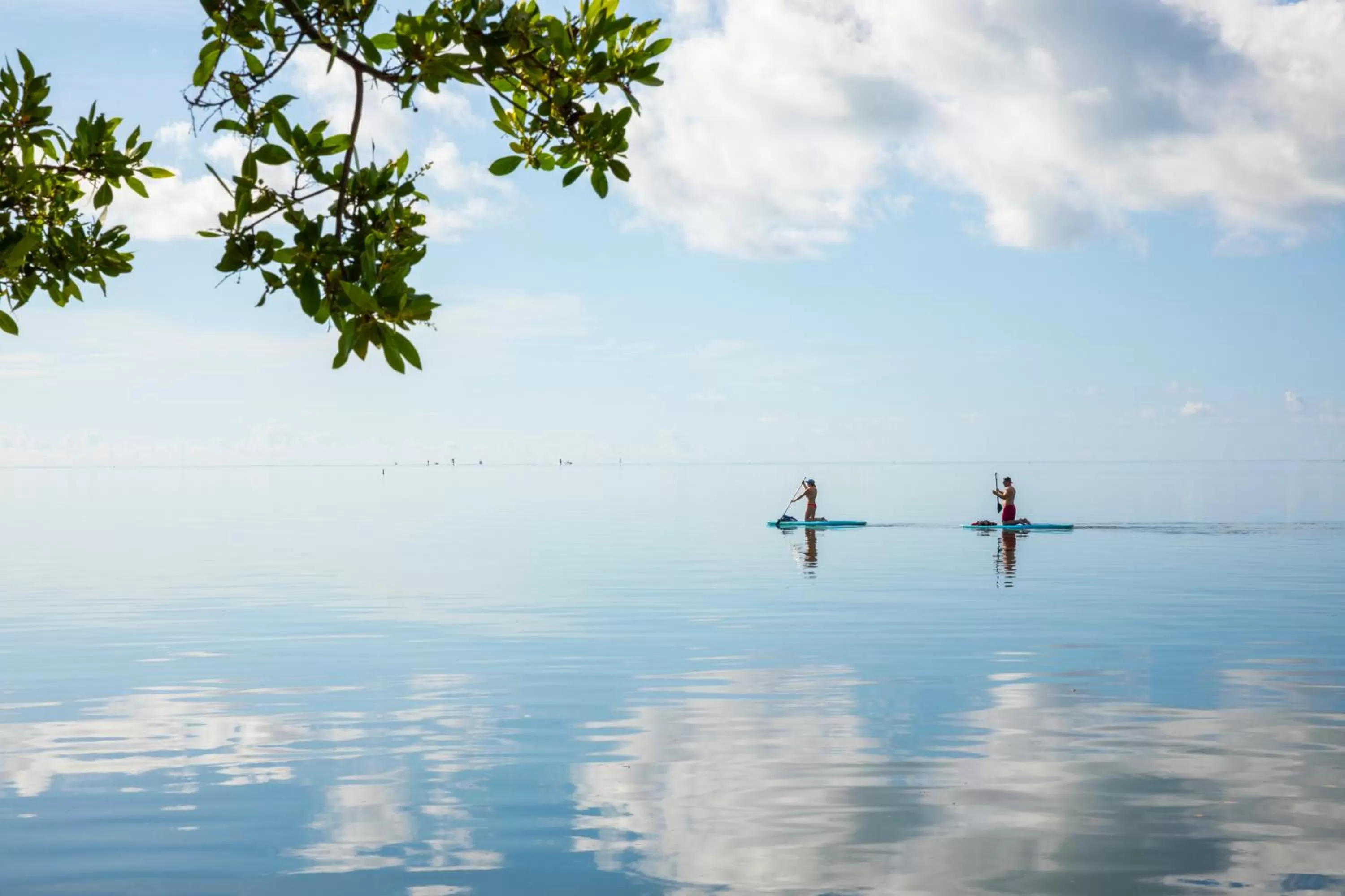 Entertainment in Pelican Cove Resort & Marina