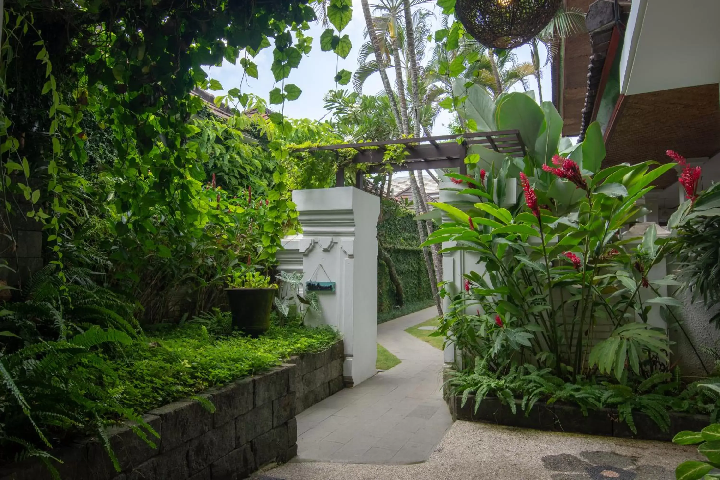 Garden in Sanur House