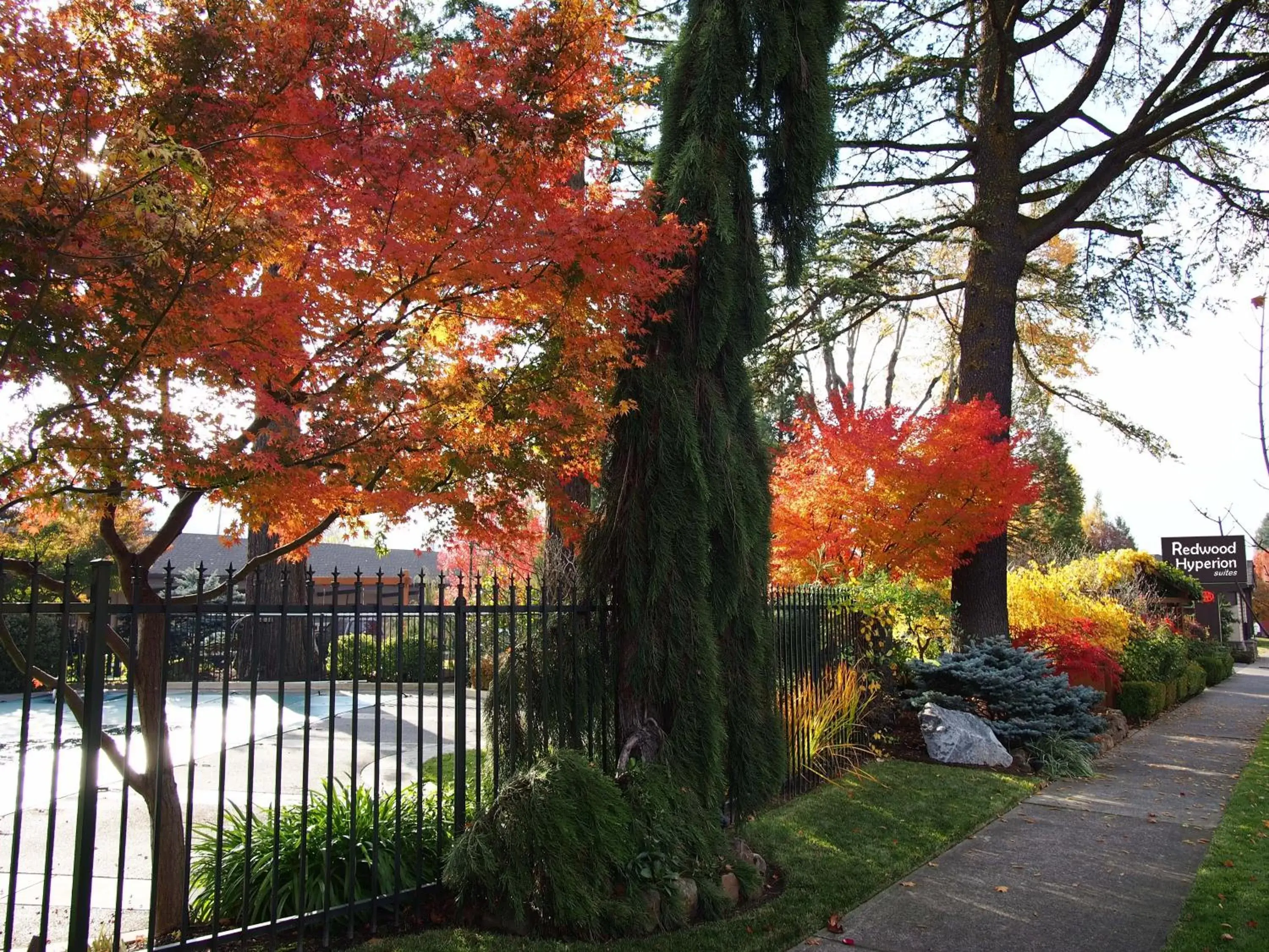 Garden view, Garden in Redwood Hyperion Suites