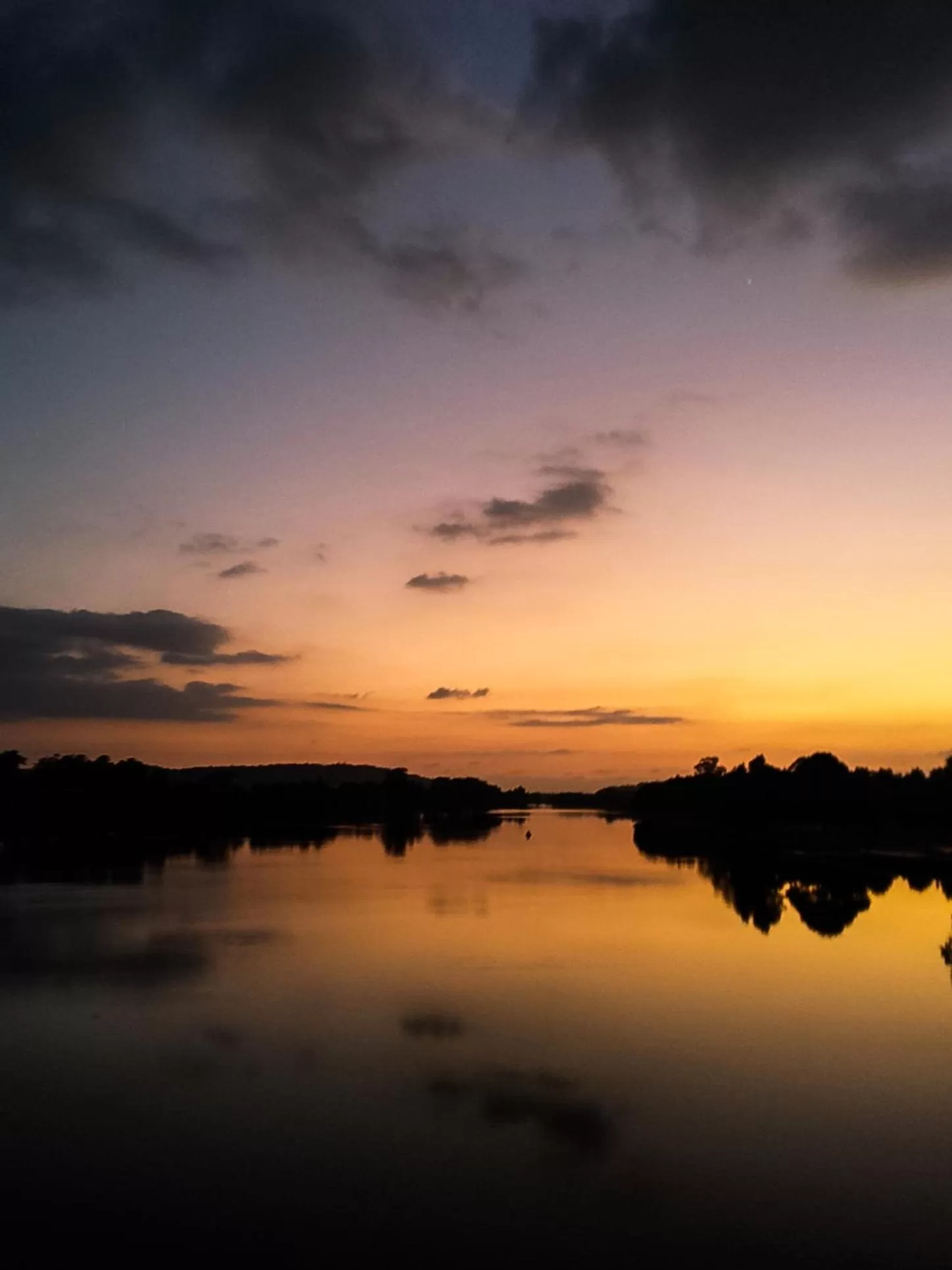 Natural landscape in Moruya Motel