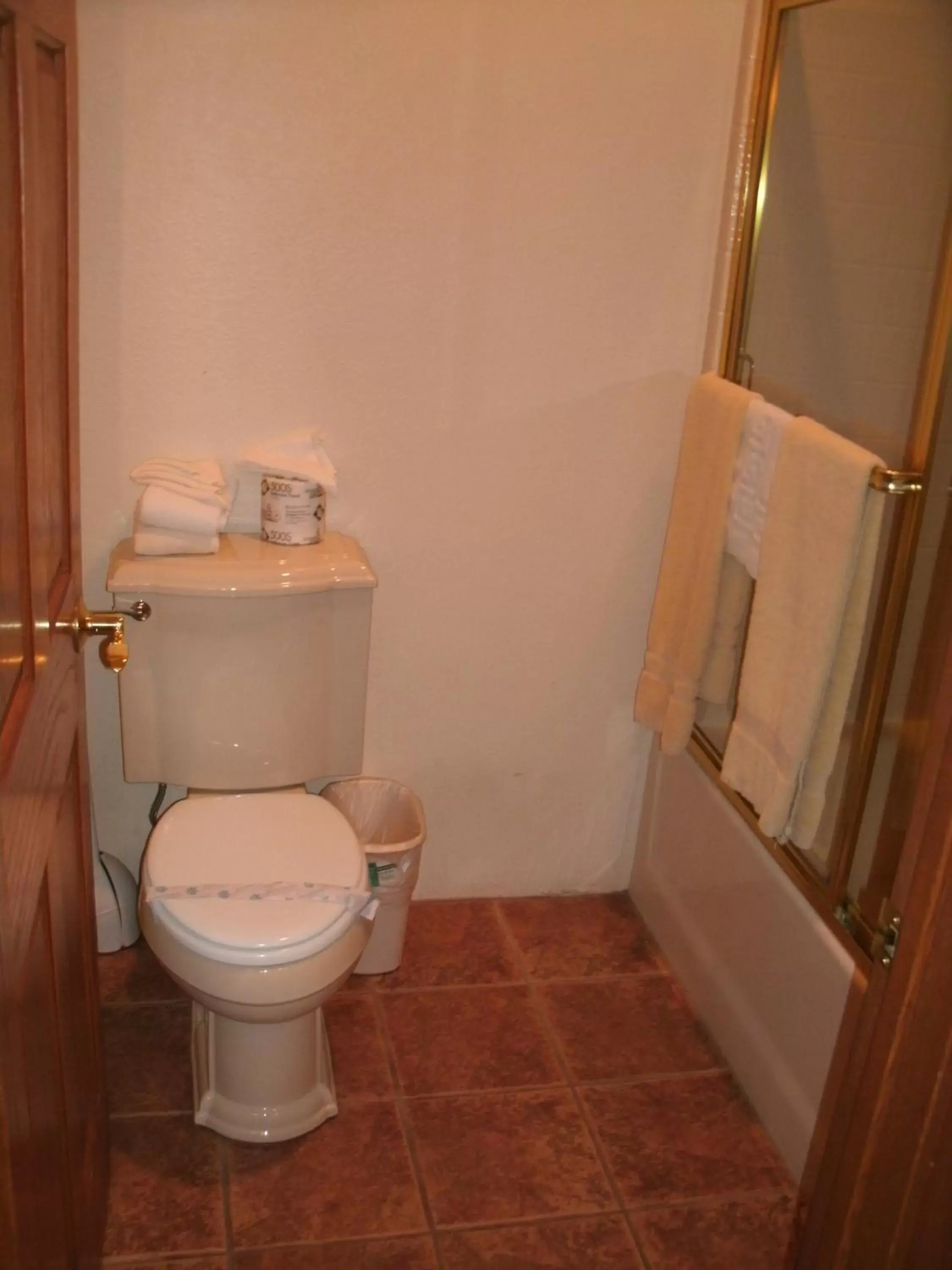 Toilet, Bathroom in Robinhood Resort