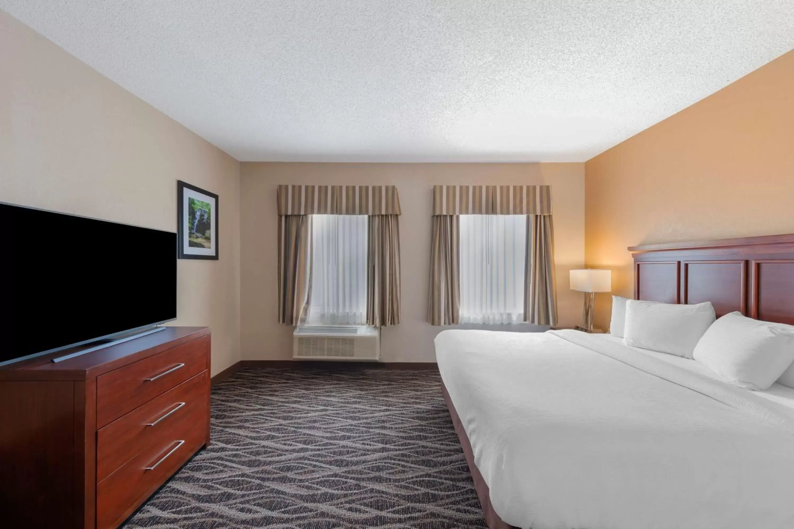 Bedroom, TV/Entertainment Center in Best Western Plus Russellville Hotel & Suites