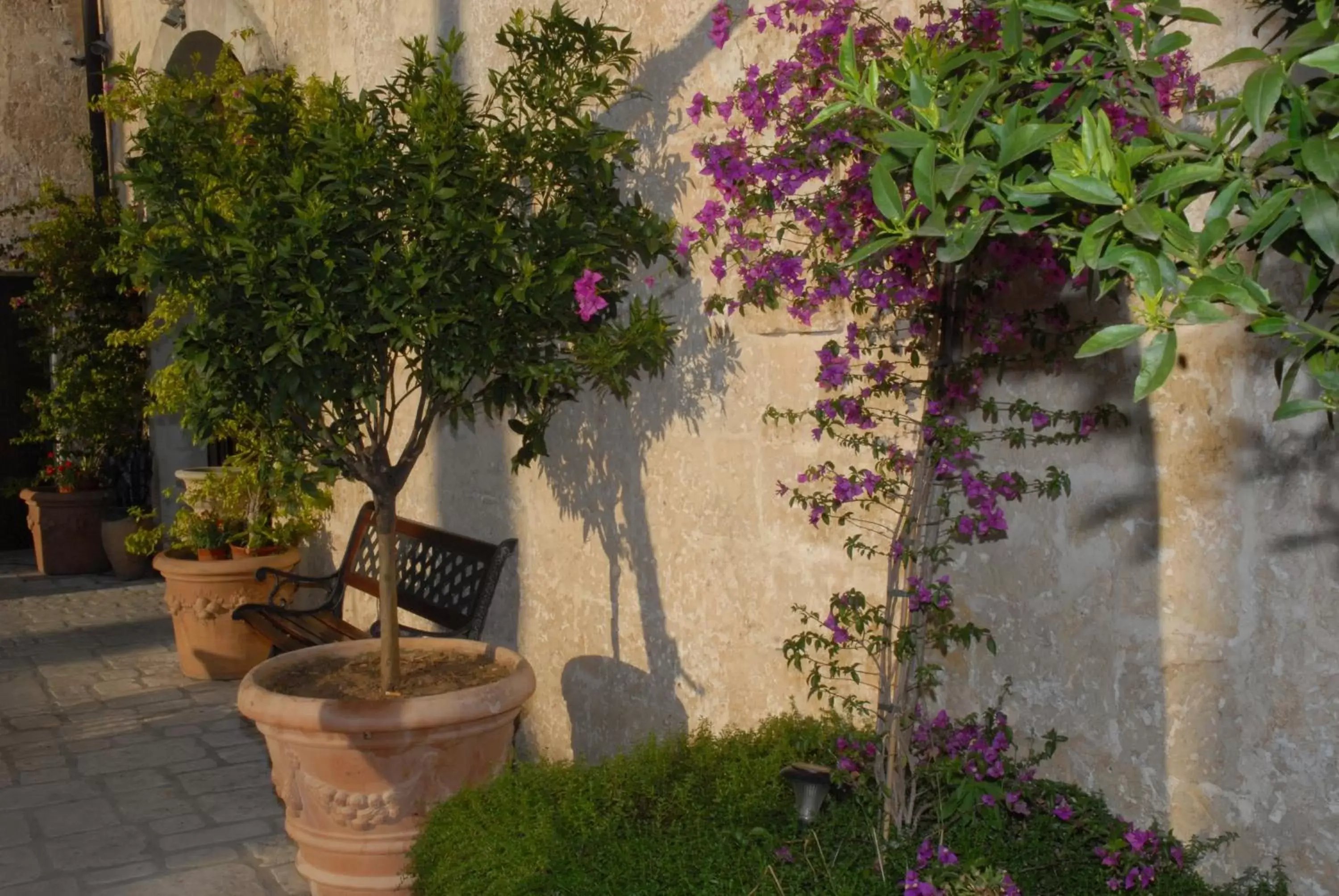 Garden in Castello Conti Filo