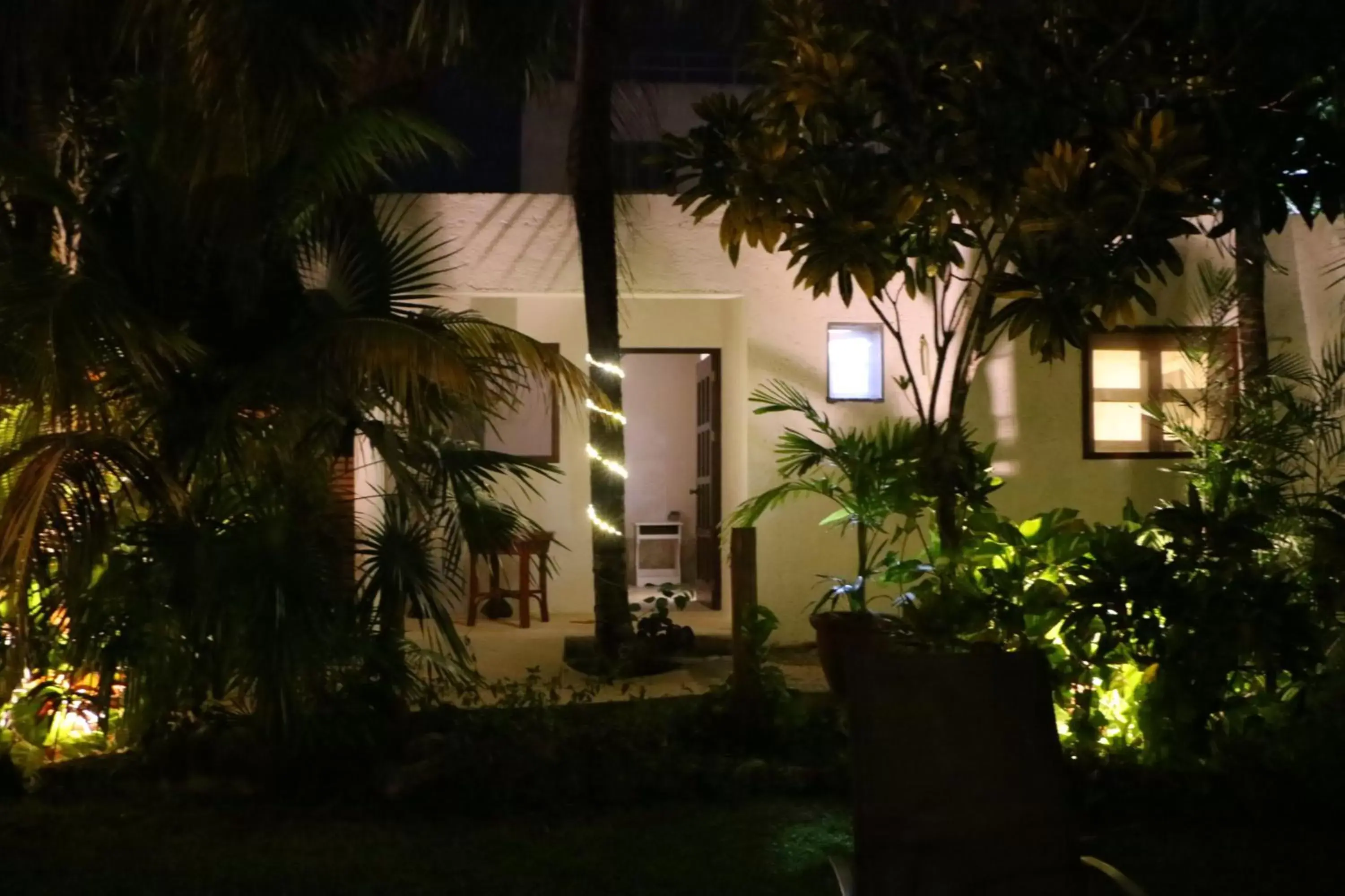 Night, Property Building in WishTulum