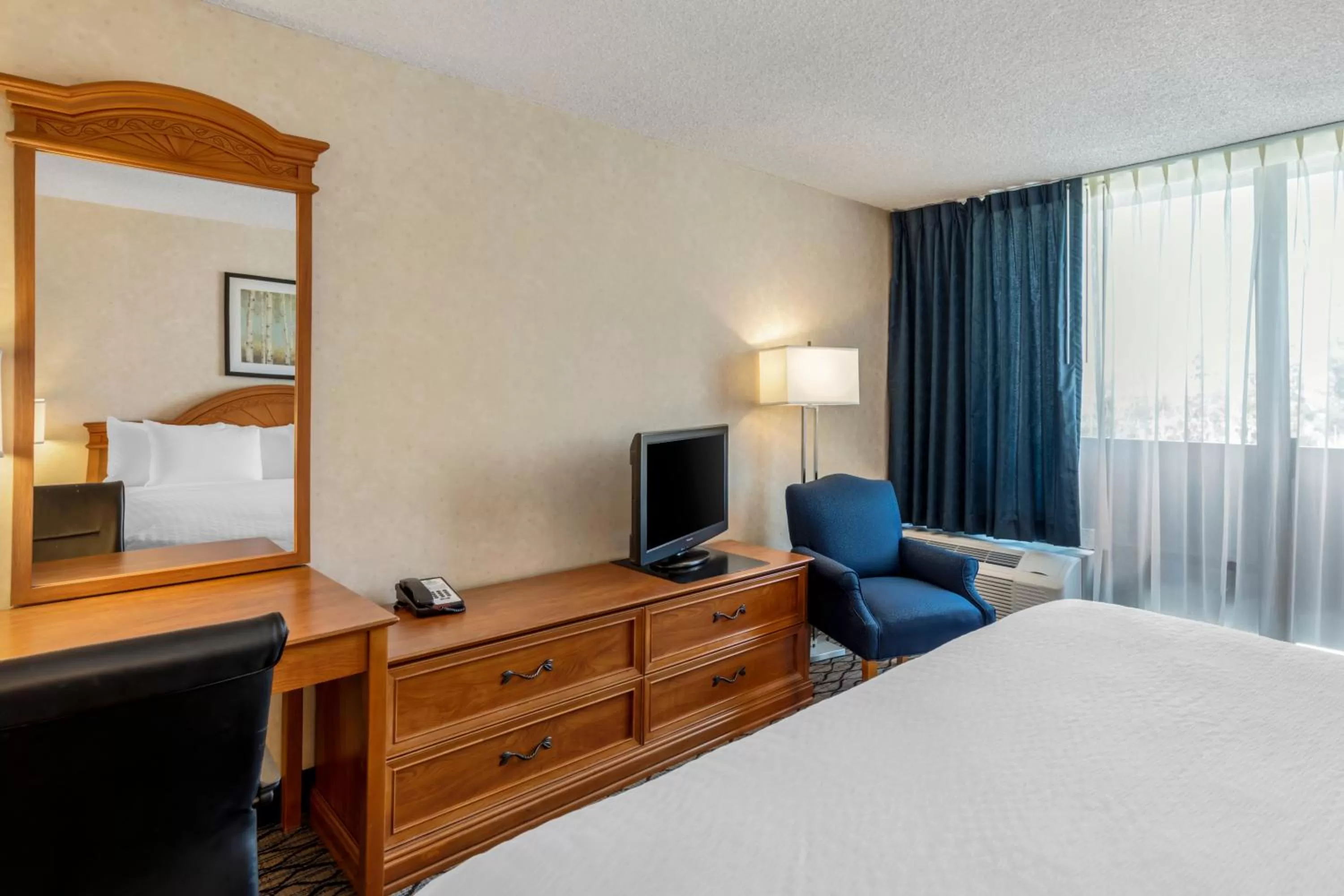 Photo of the whole room, Bed in Clarion Hotel Anaheim Resort