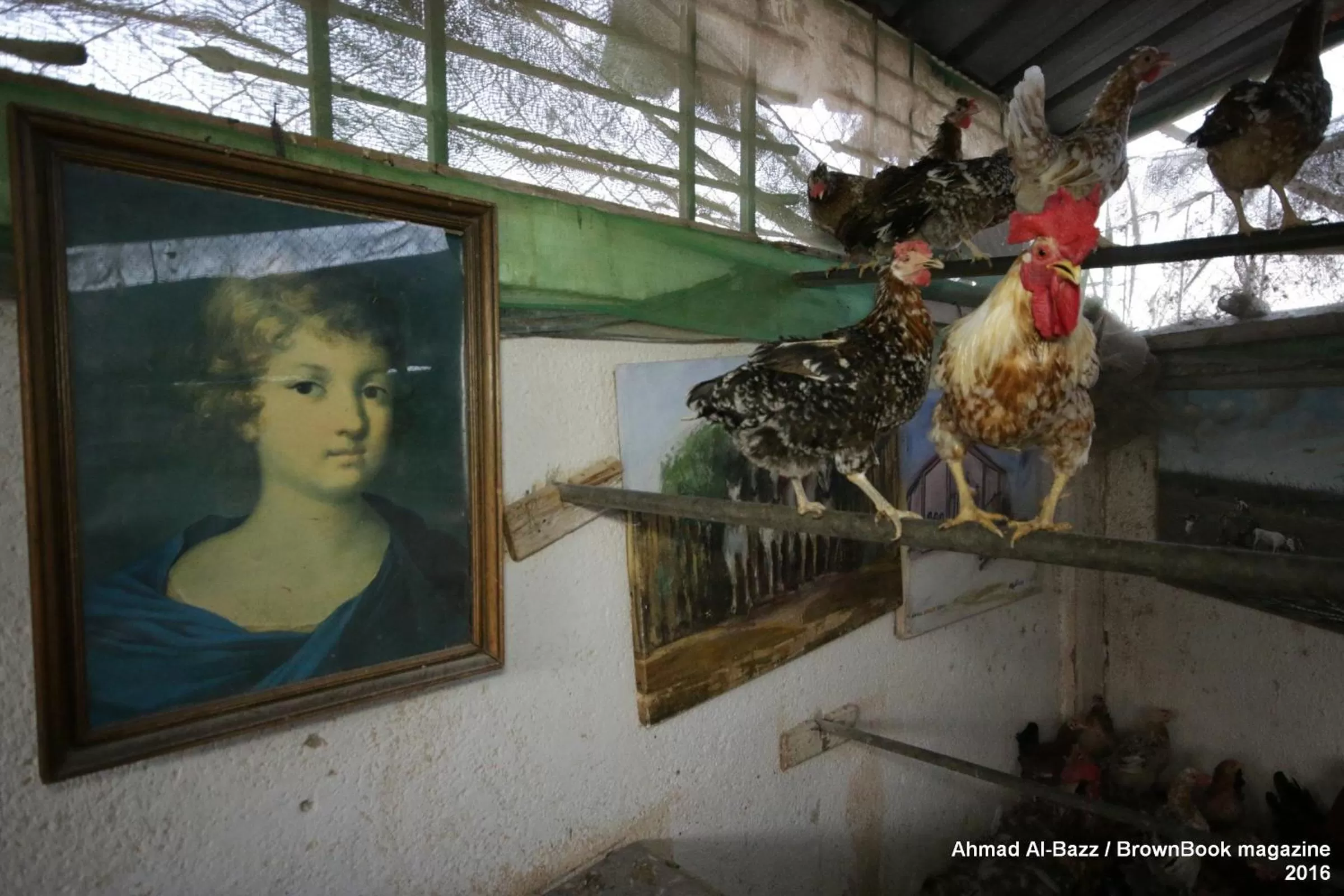 Garden in Auberg-Inn Guesthouse