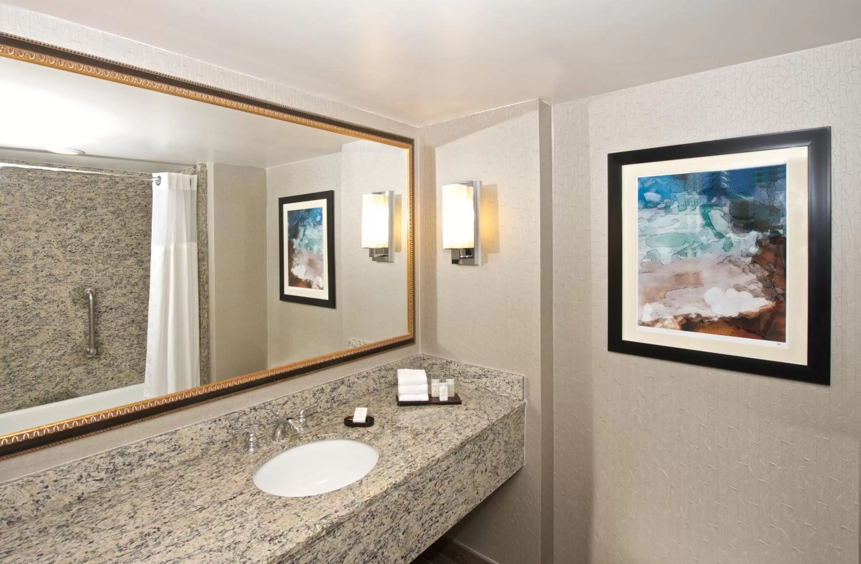 Bathroom in Embassy Suites by Hilton Seattle Bellevue