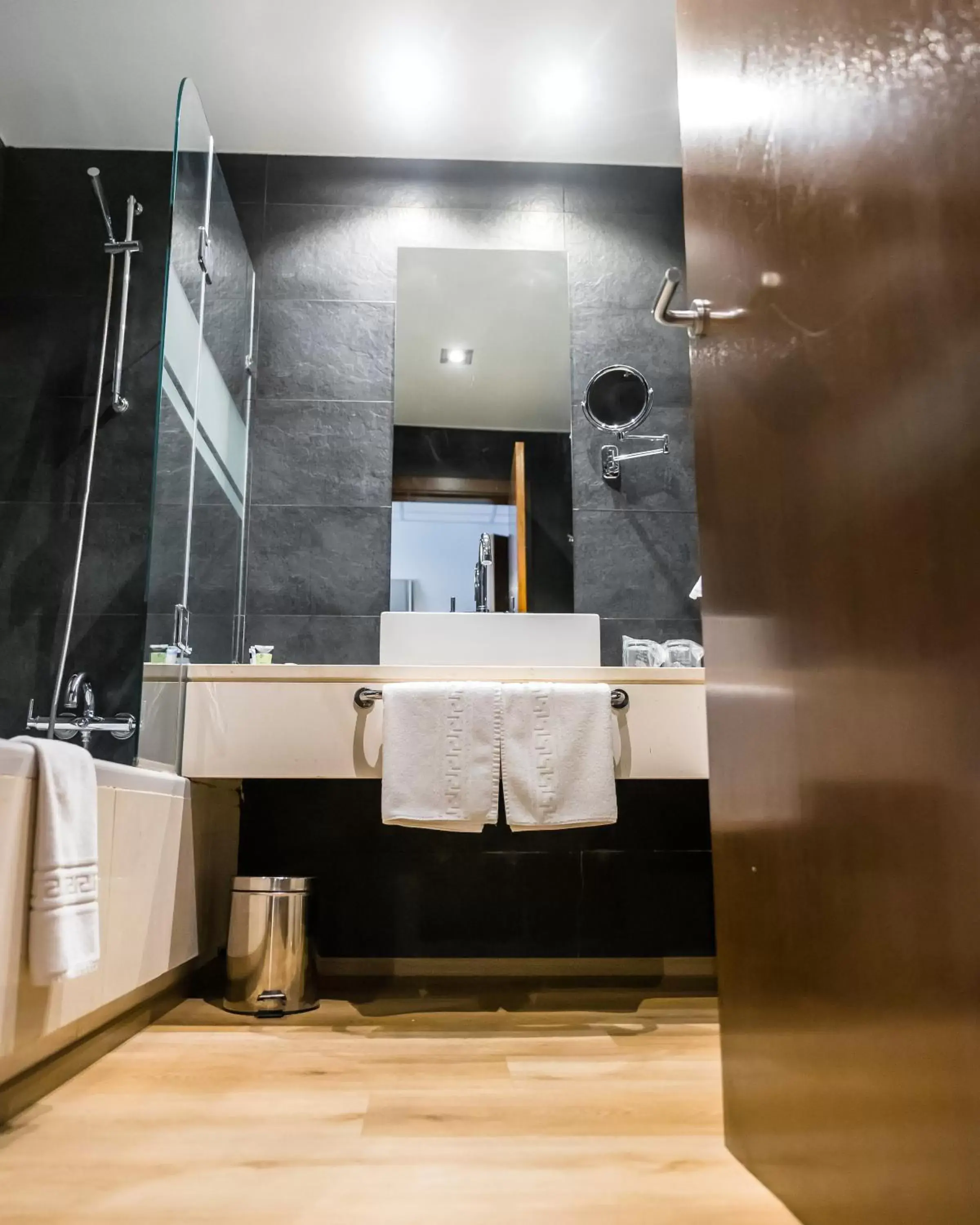 Bathroom in Hotel Veracruz Plaza & Spa
