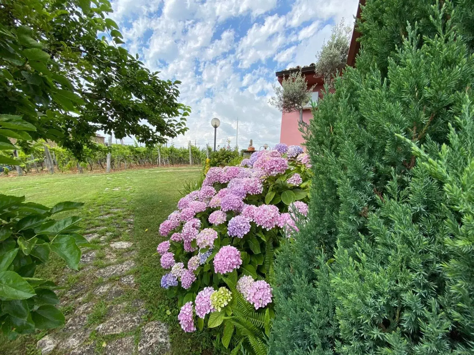 Garden in B&B la Sirenetta