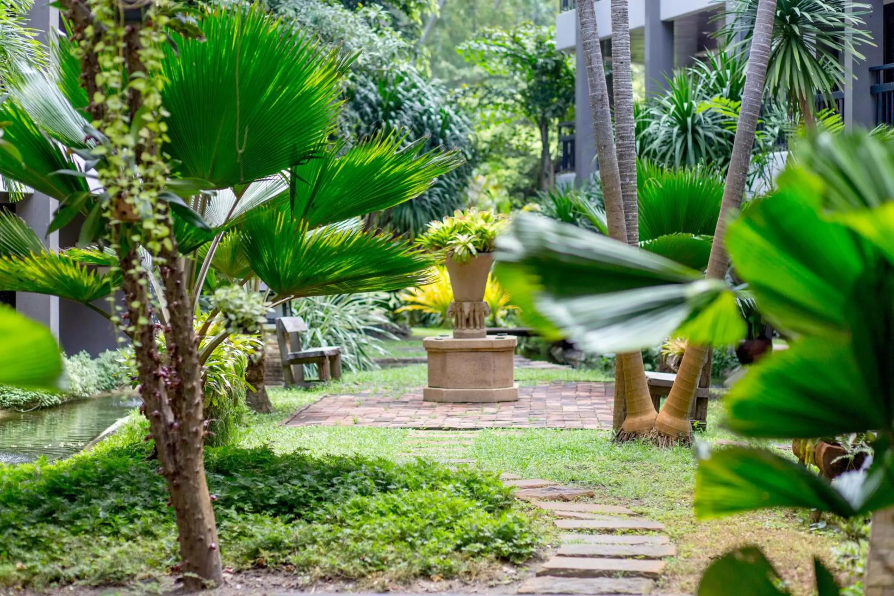 Garden view, Garden in Siam Bayshore Resort Pattaya