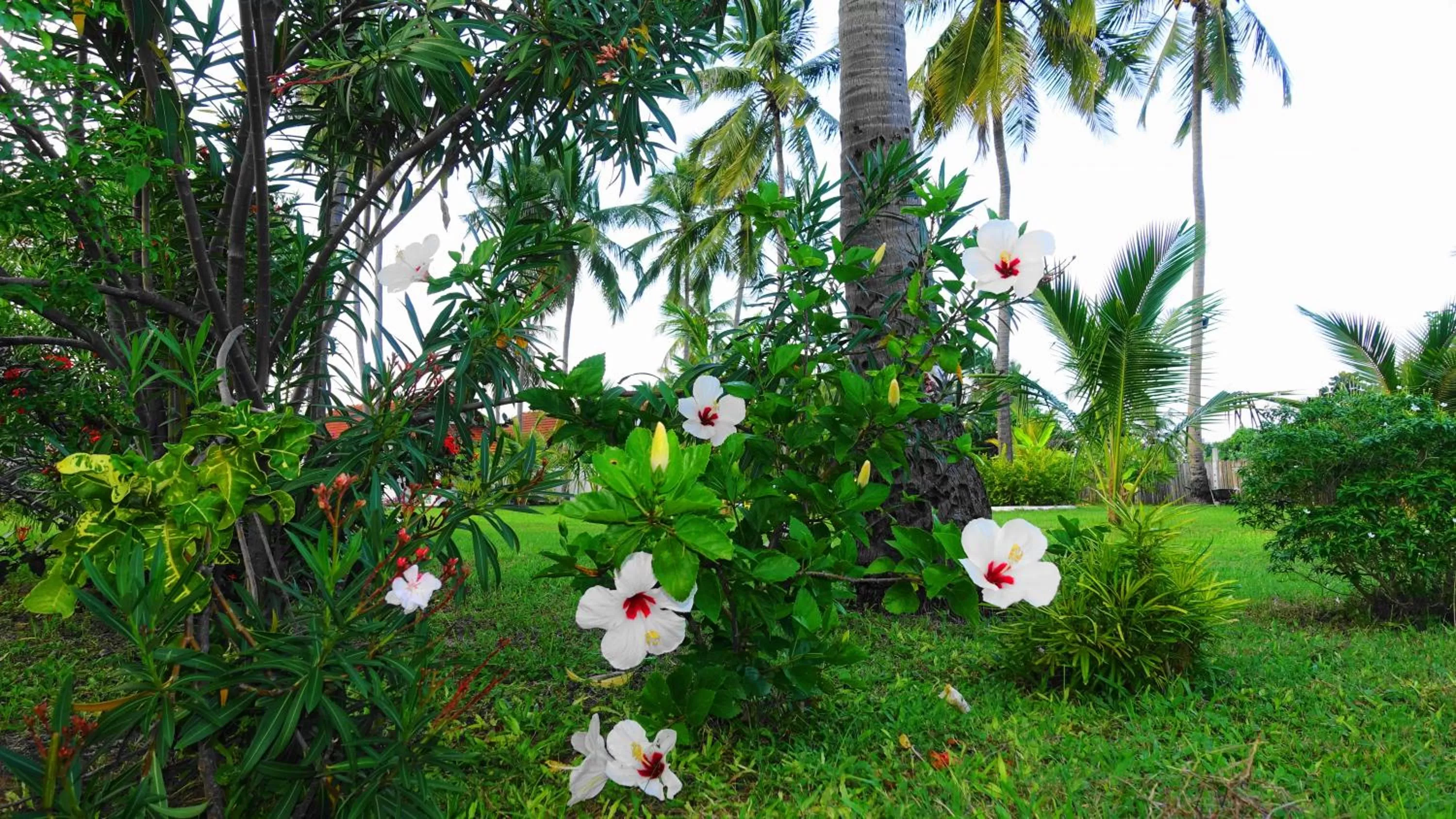 Garden in Regina Beach Bungalow