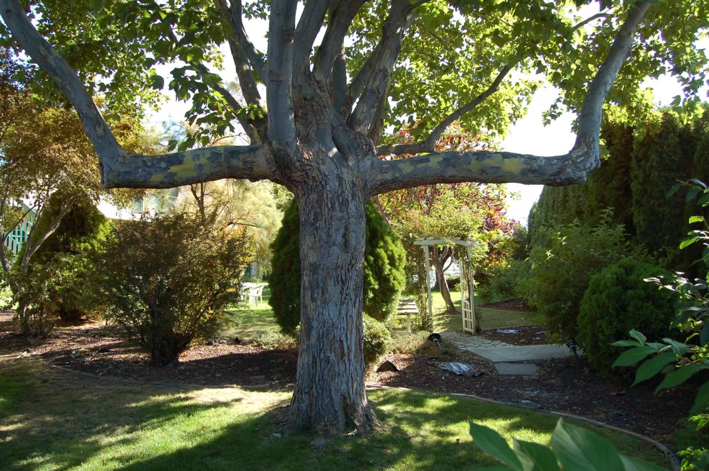 Garden in Summerland Motel