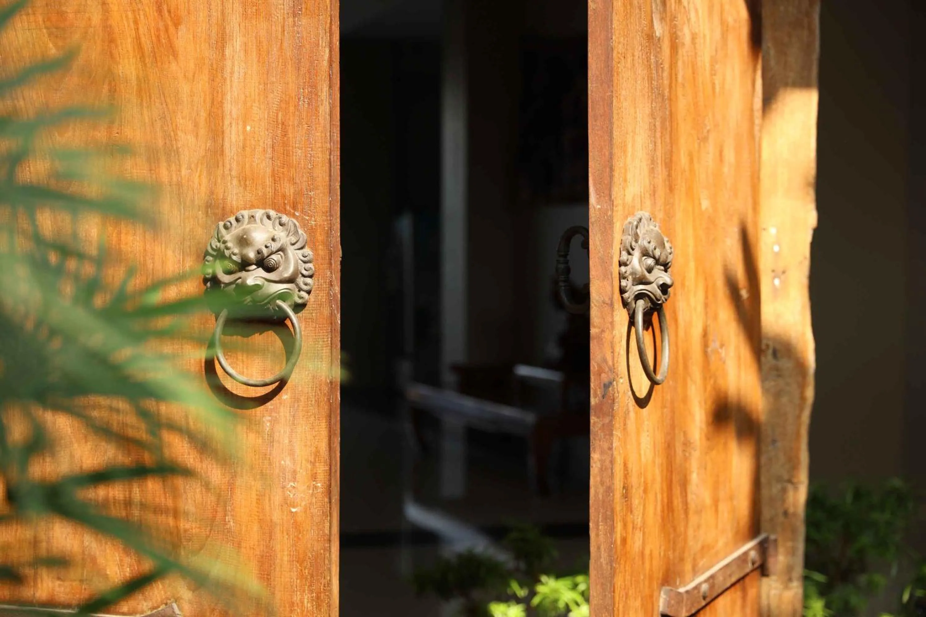 Property building in Bale Ocasa by Behomy