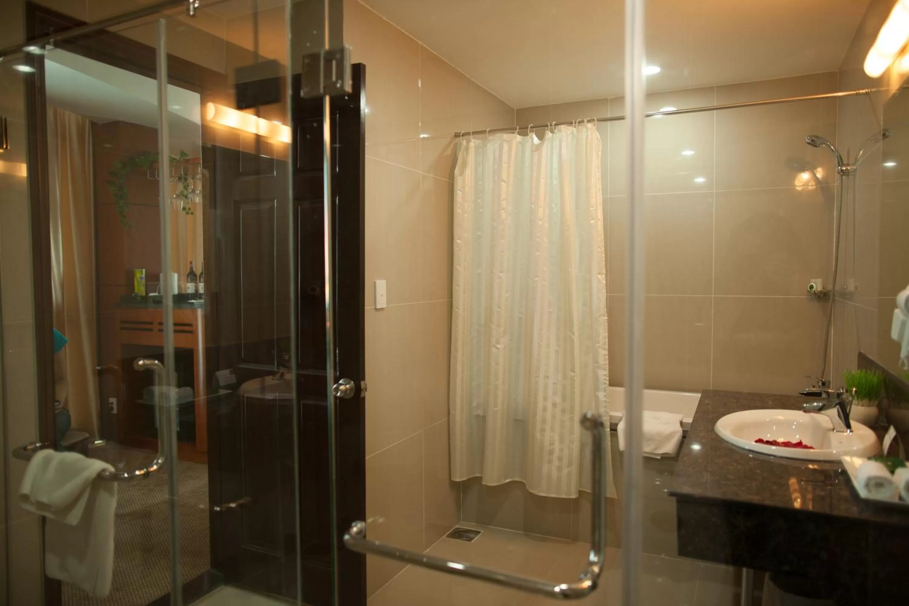 Shower, Bathroom in River Hotel