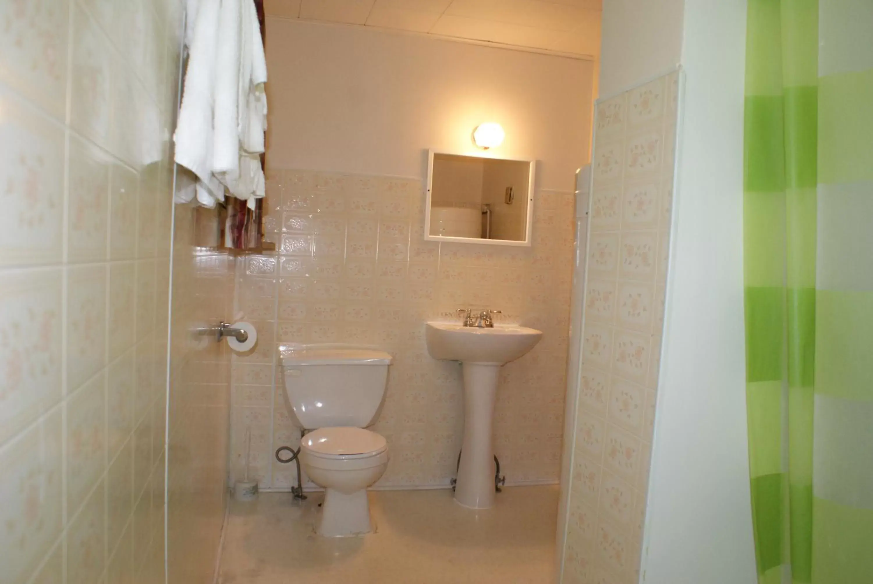 Toilet, Bathroom in Regent Motel