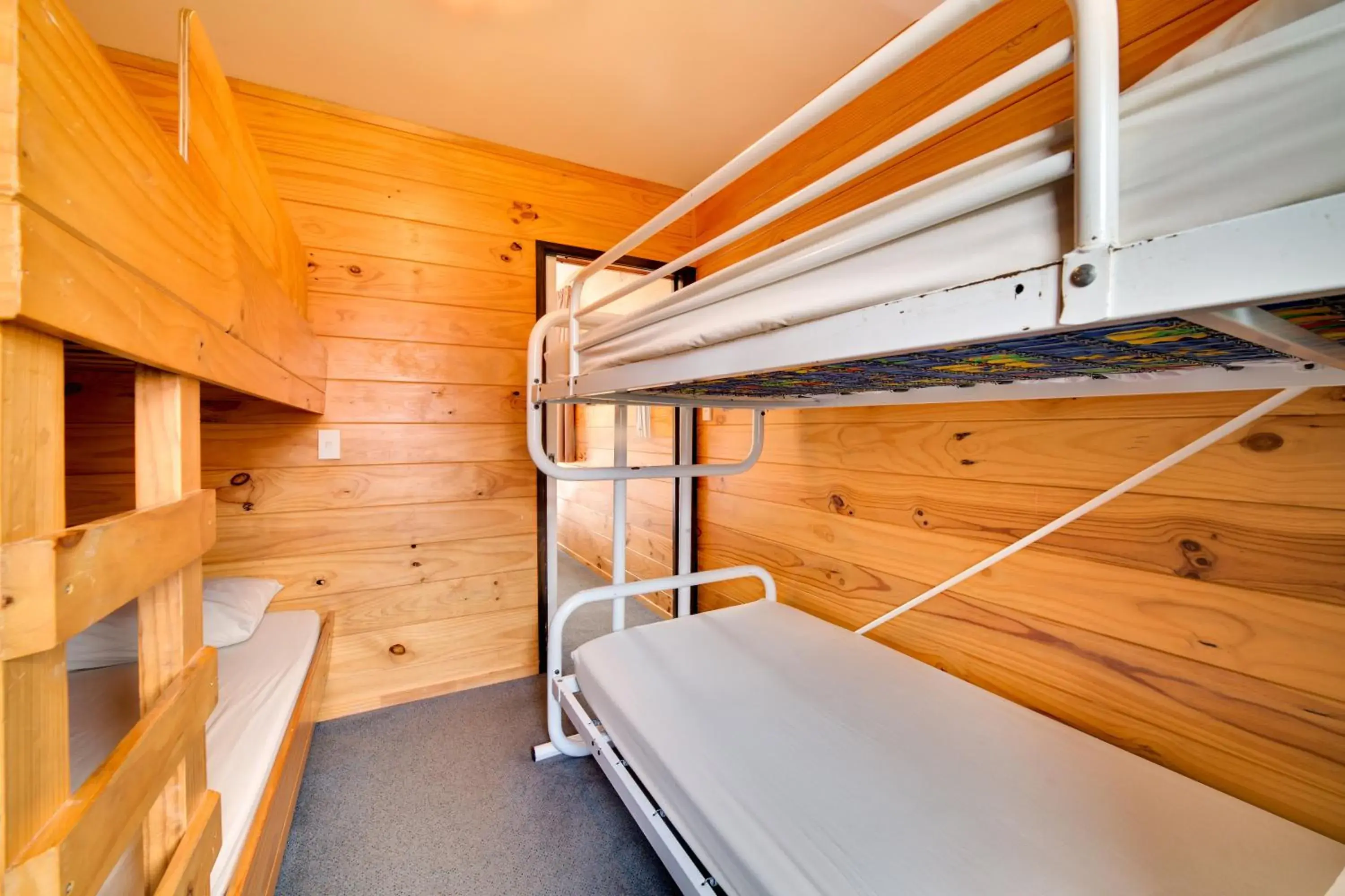 Bunk Bed in Wellington TOP 10 Holiday Park