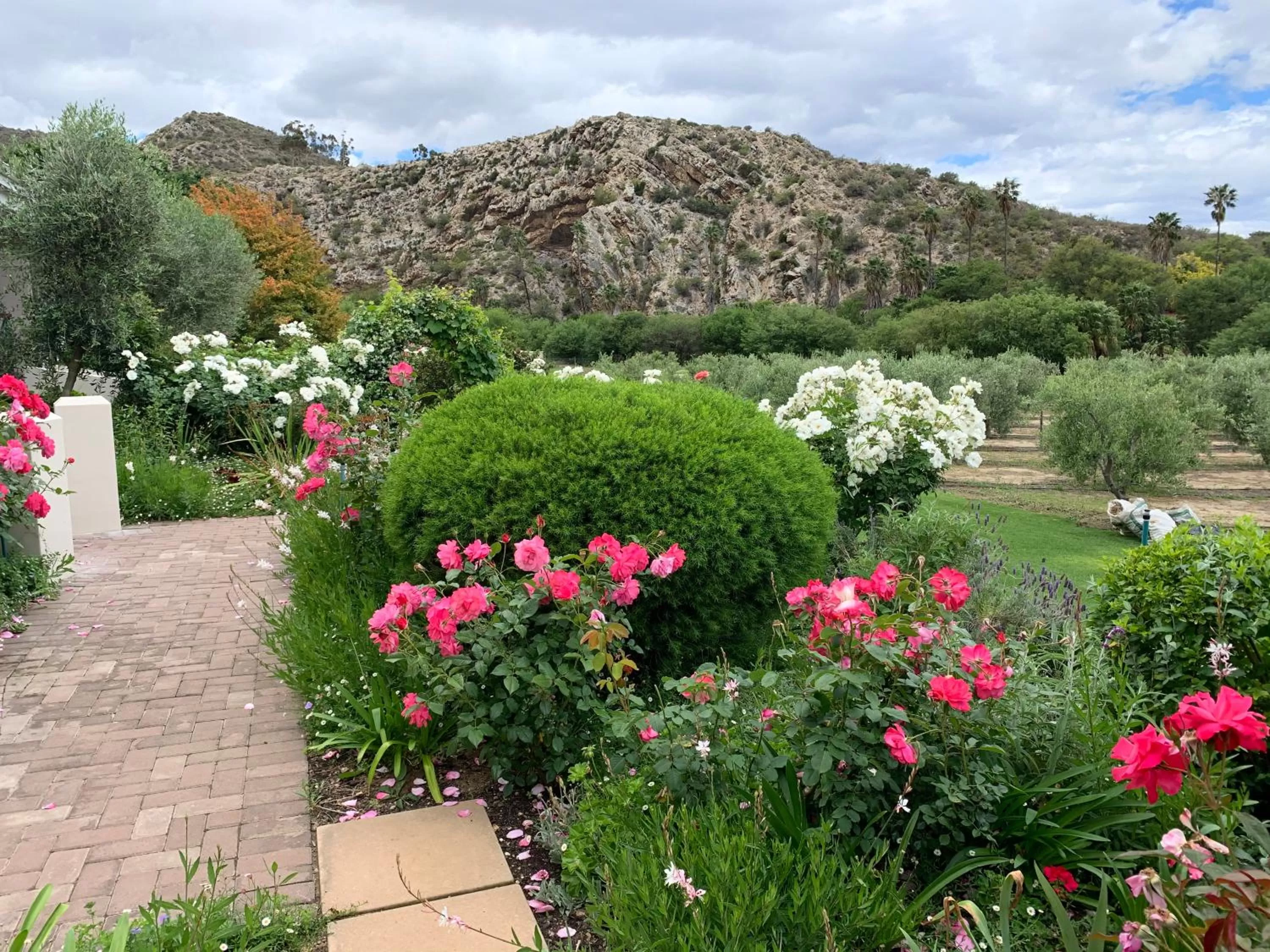 Natural landscape in Montagu Vines Guesthouse