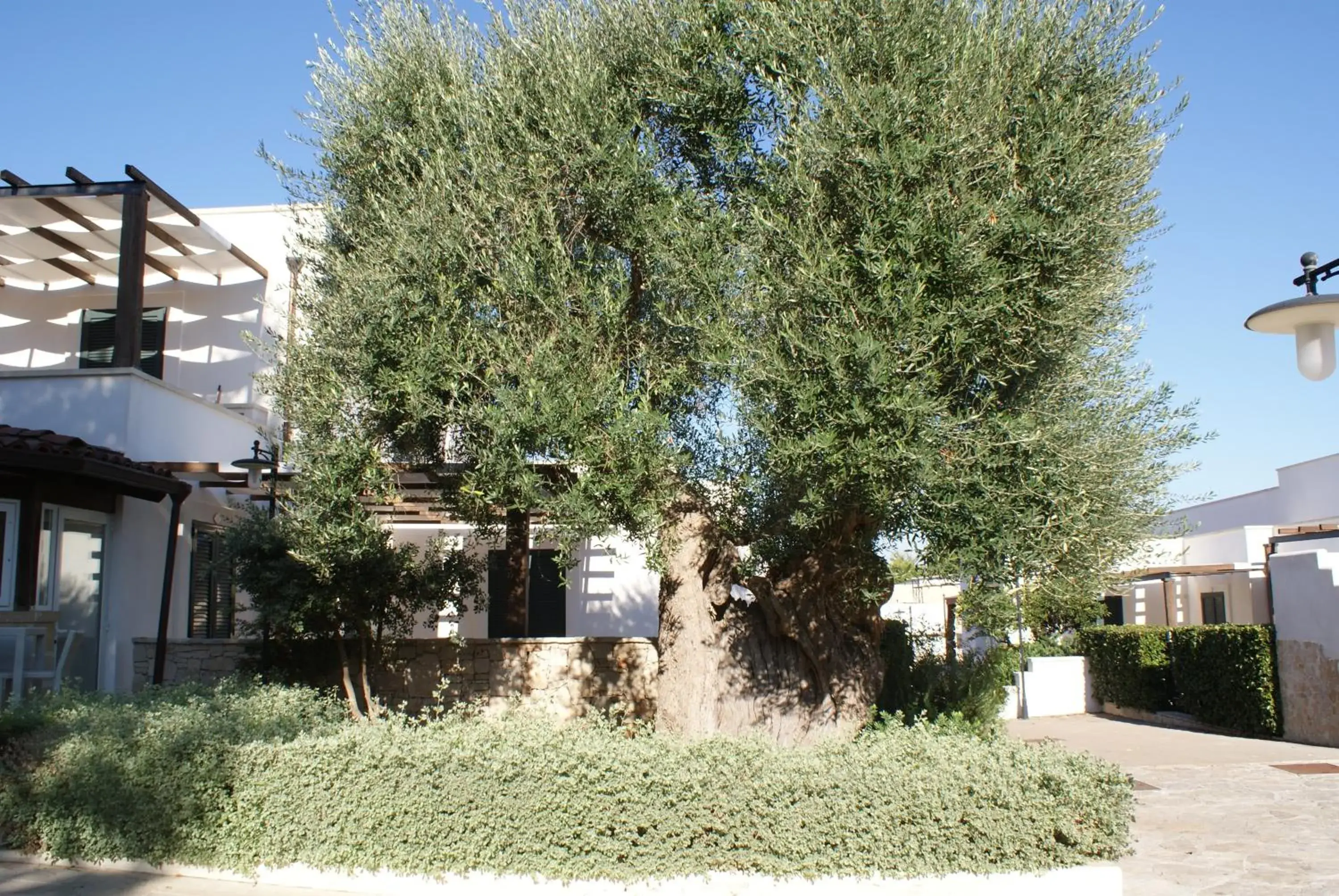 Property building in Messapia Hotel & Resort Property building in Messapia Hotel & Resort