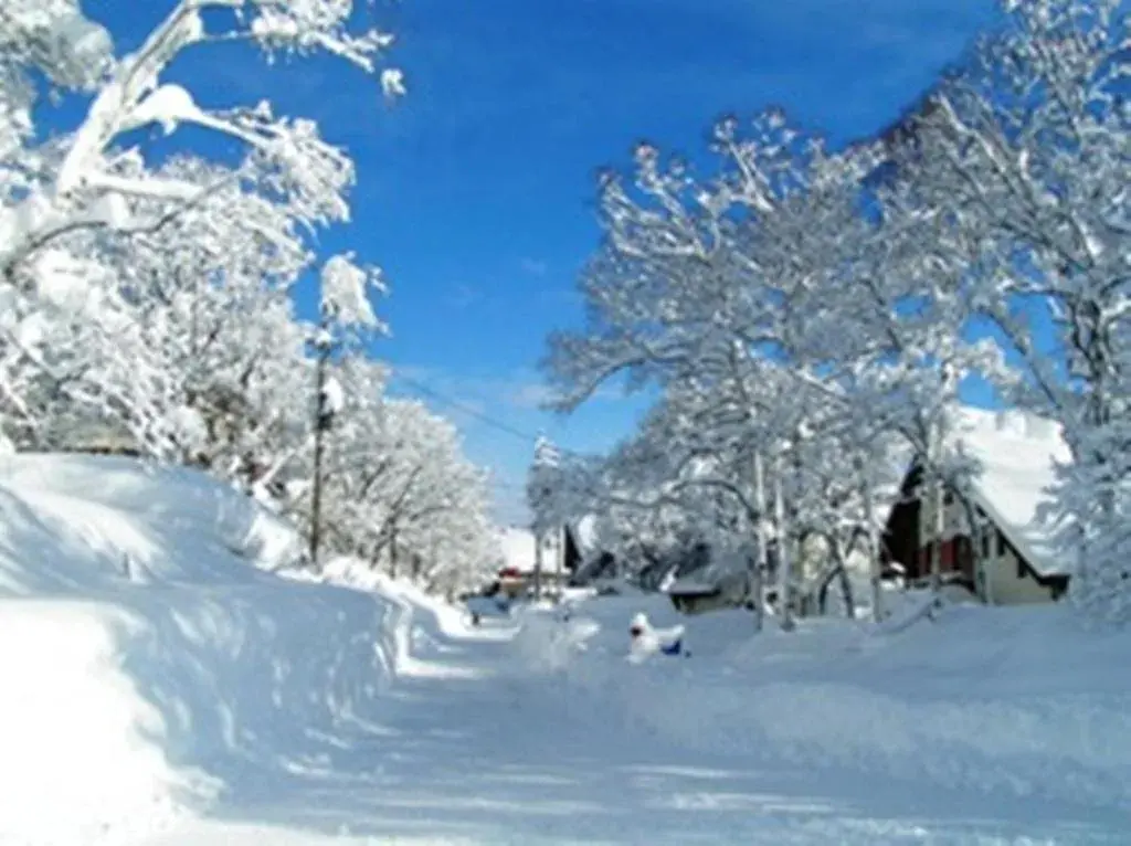 Area and facilities, Winter in Madarao Elm Pension