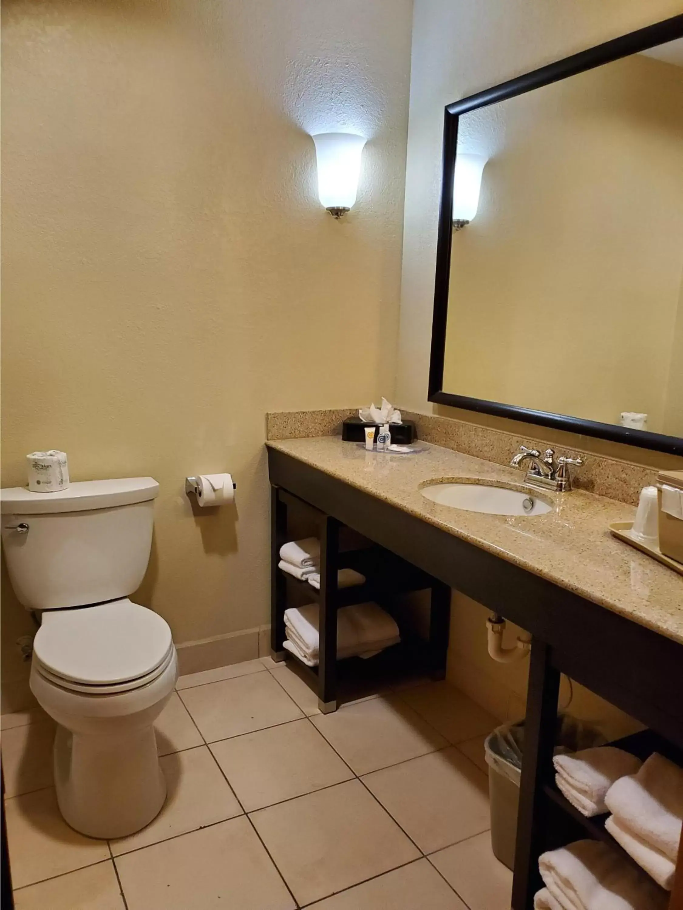 Toilet, Bathroom in Comfort Suites Tampa Airport North