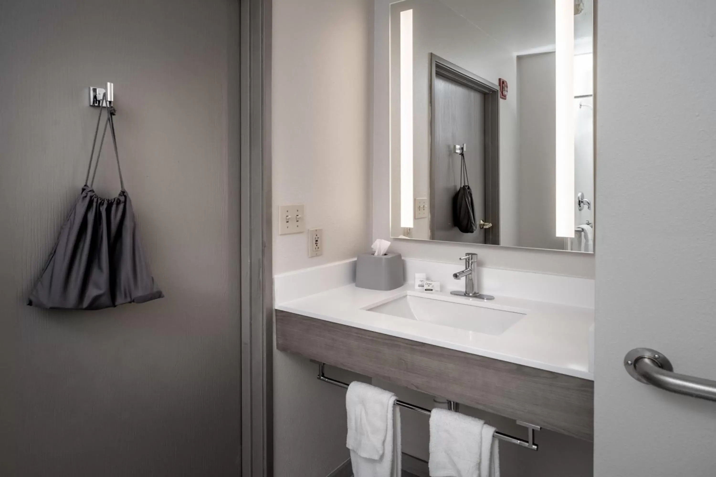 Bathroom in Holiday Inn Express - Charleston/Kanawha City, an IHG Hotel