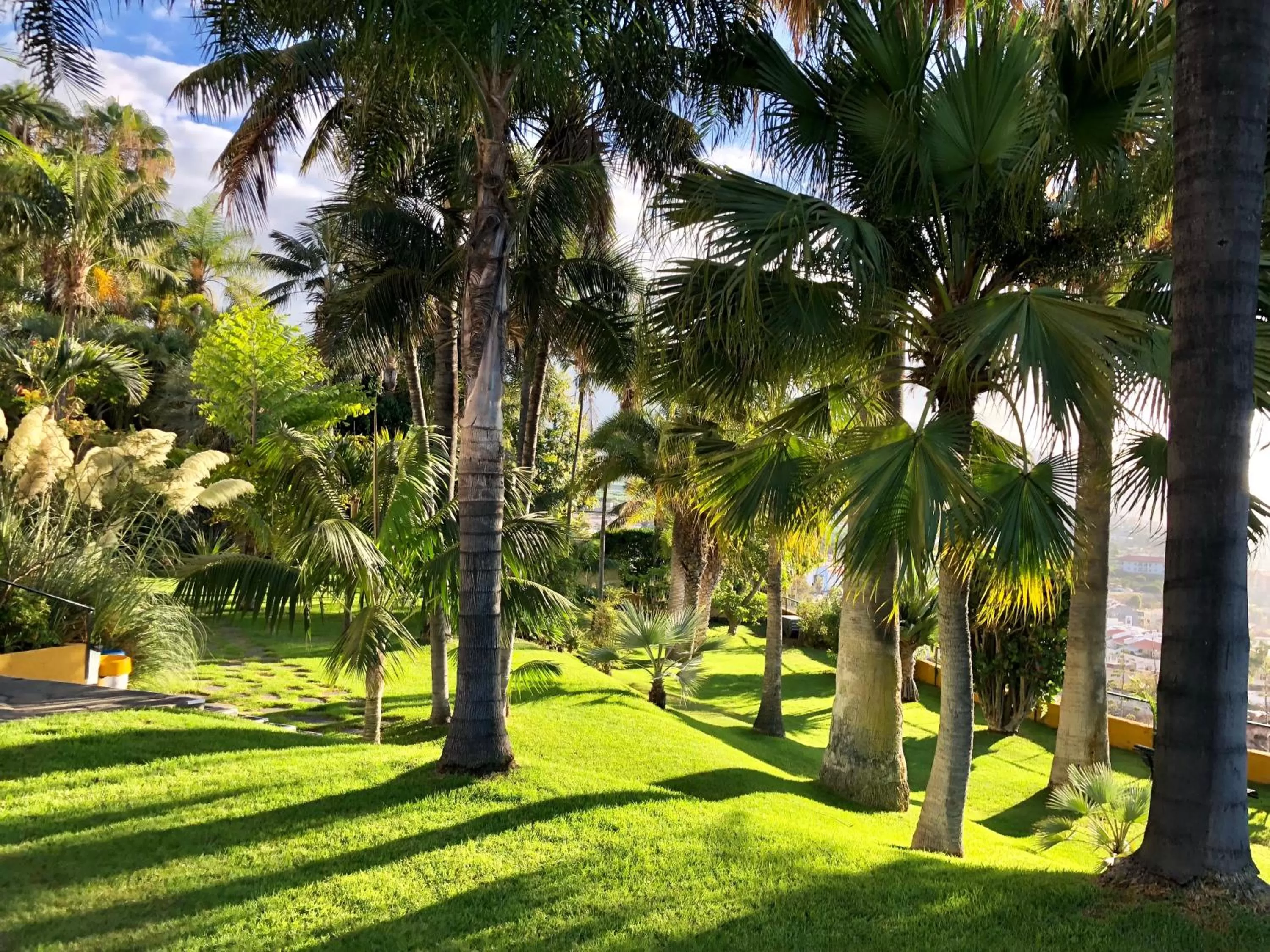 Garden in Hotel Tigaiga