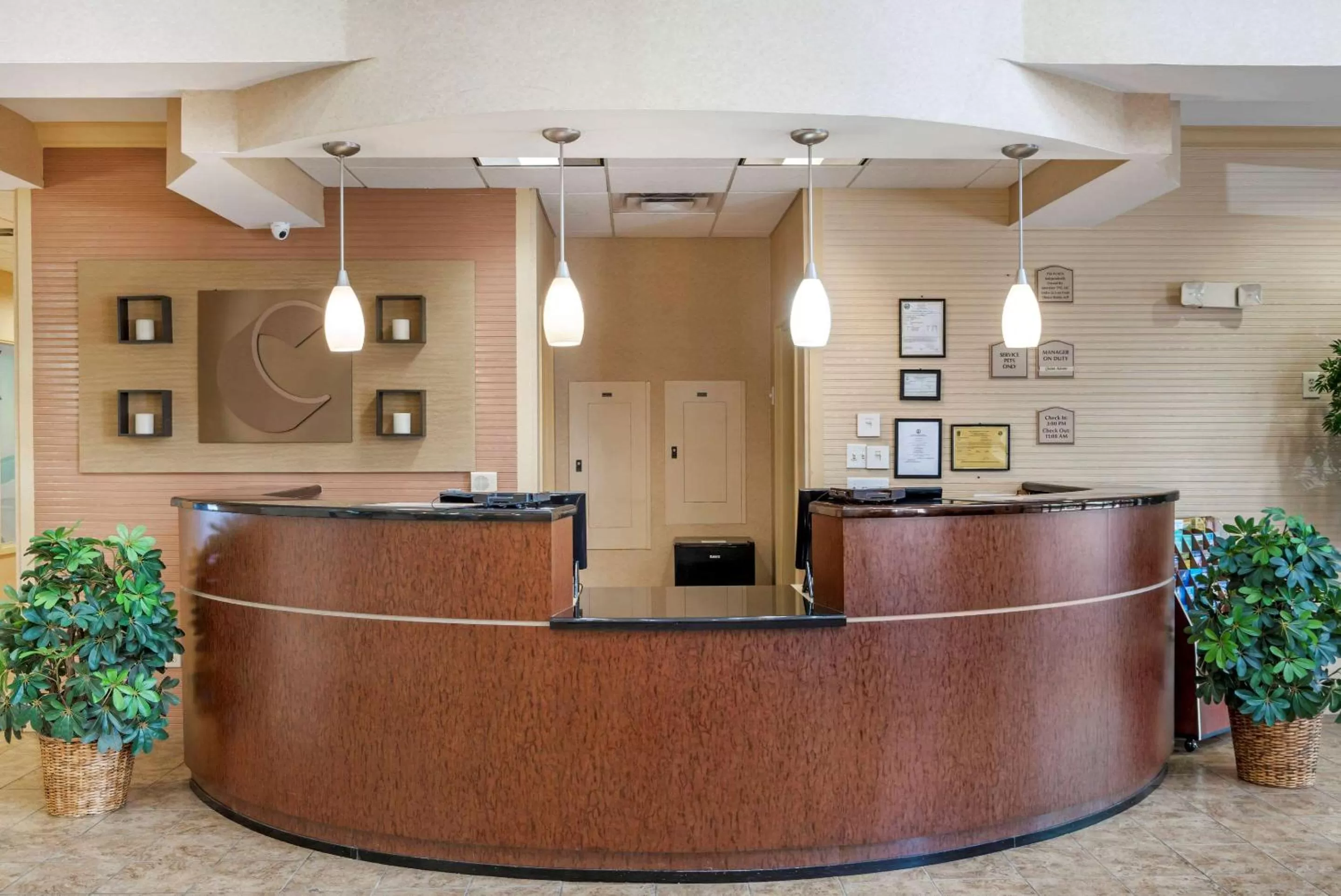 Lobby or reception in Comfort Suites Fredericksburg North