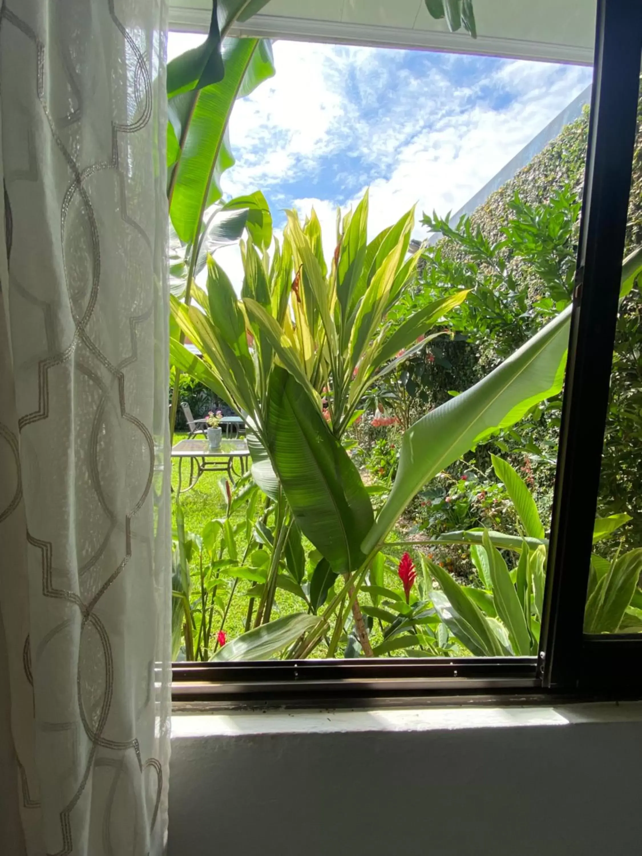 Garden view, Mountain View in Berlor Airport Inn