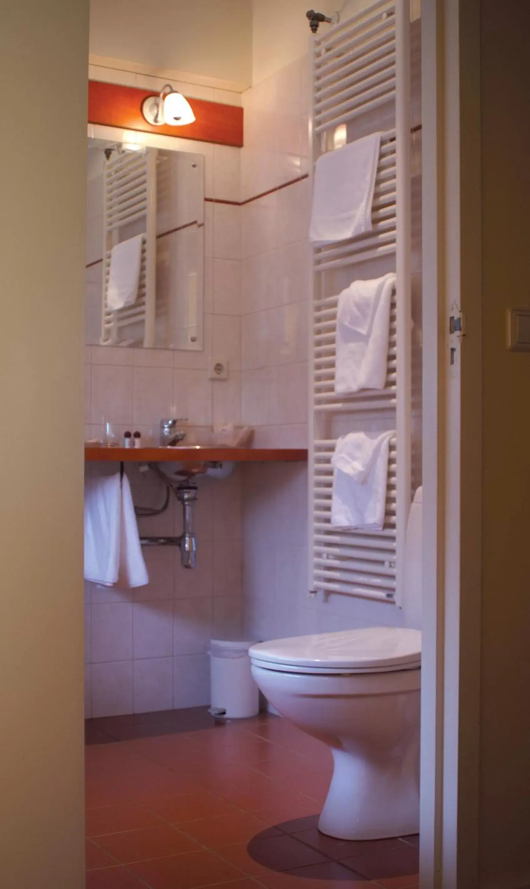 Bathroom in Restaurant-Hotel de Watergeus