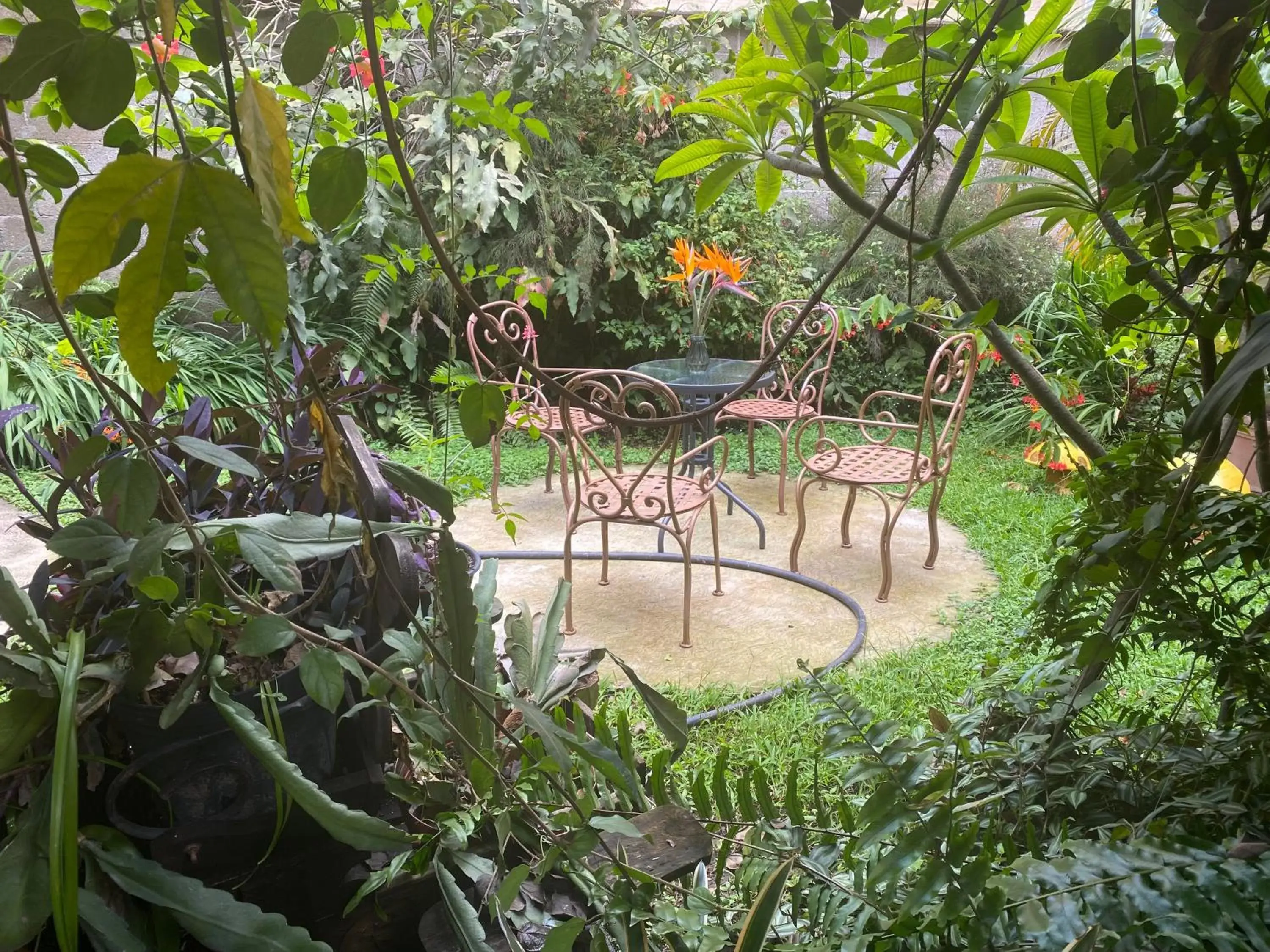 Garden in Flor de Cera